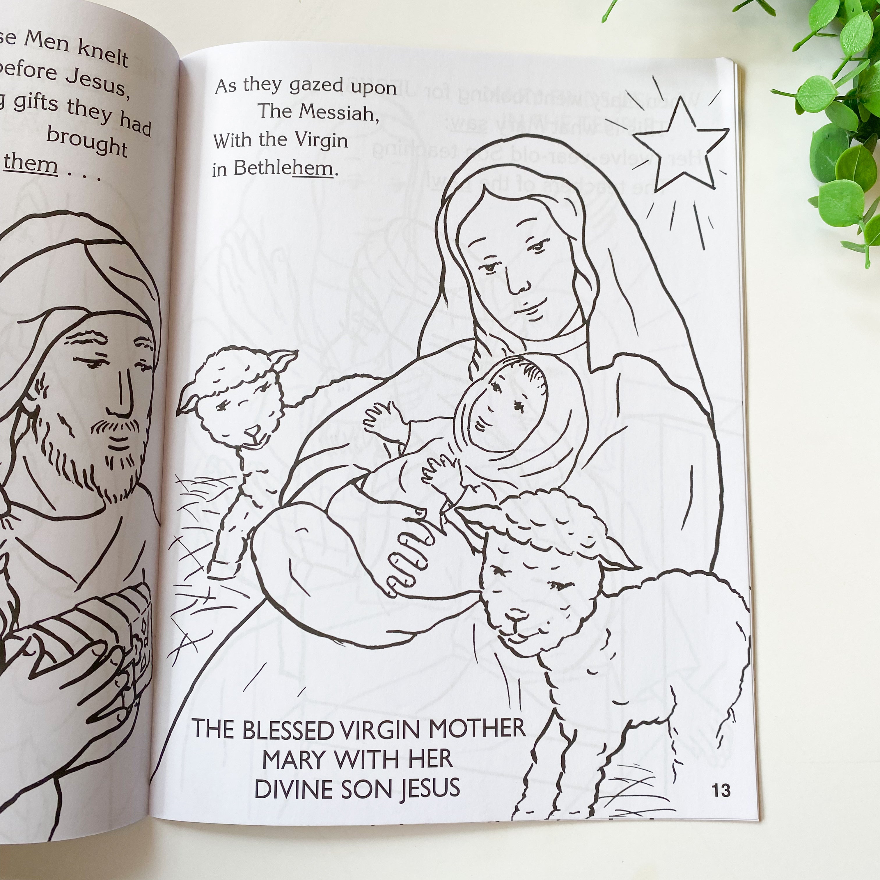 Coloring Book: About Mary