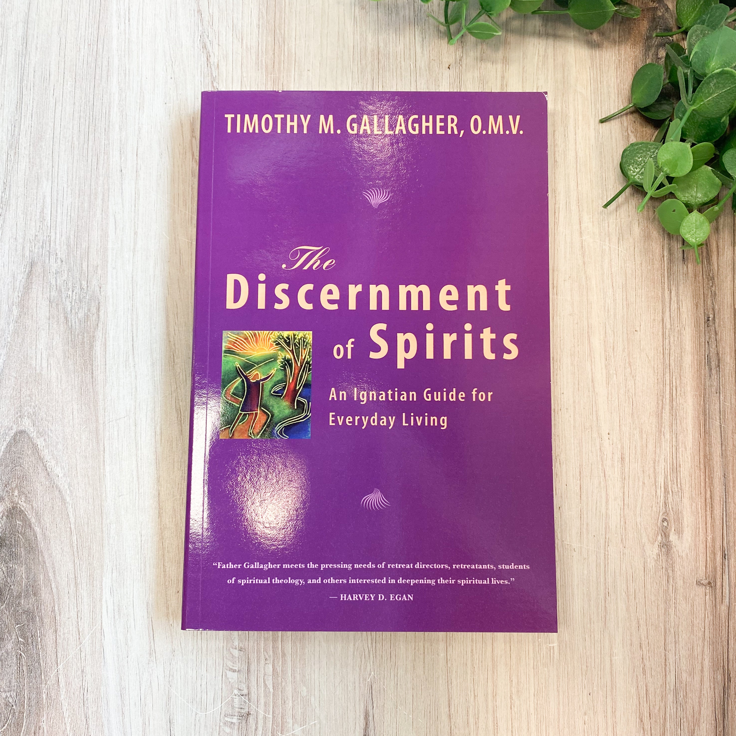 The Discernment of Spirits: An Ignatian Guide for Everyday Living