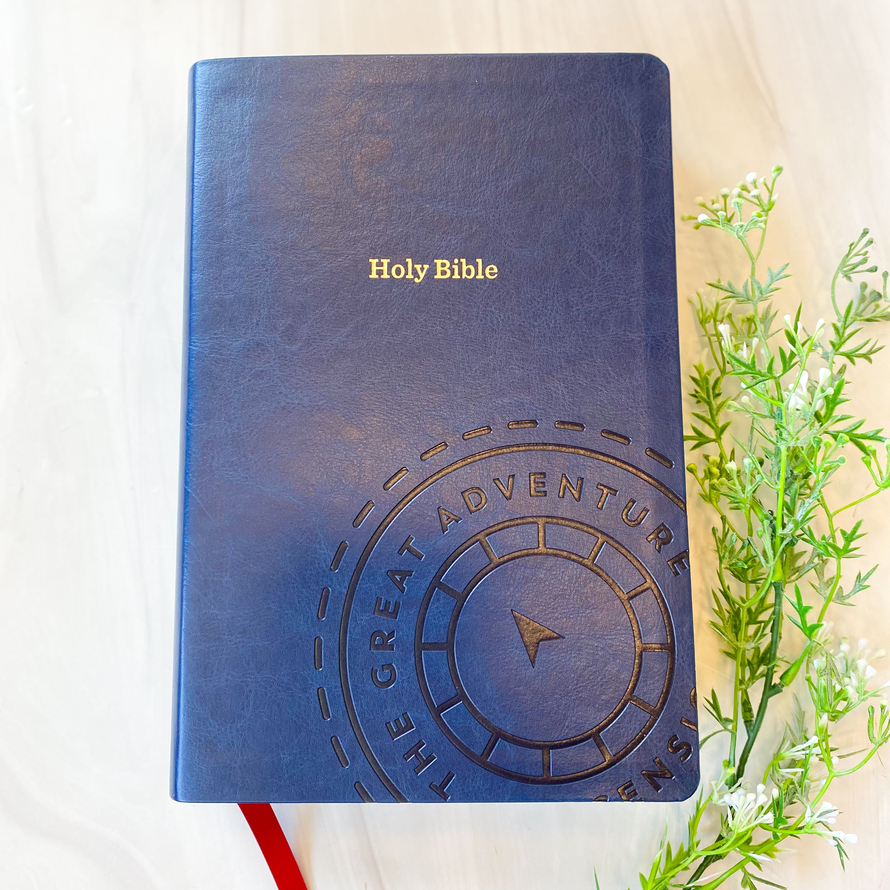 The Great Adventure Catholic Bible Second Edition | Large Print