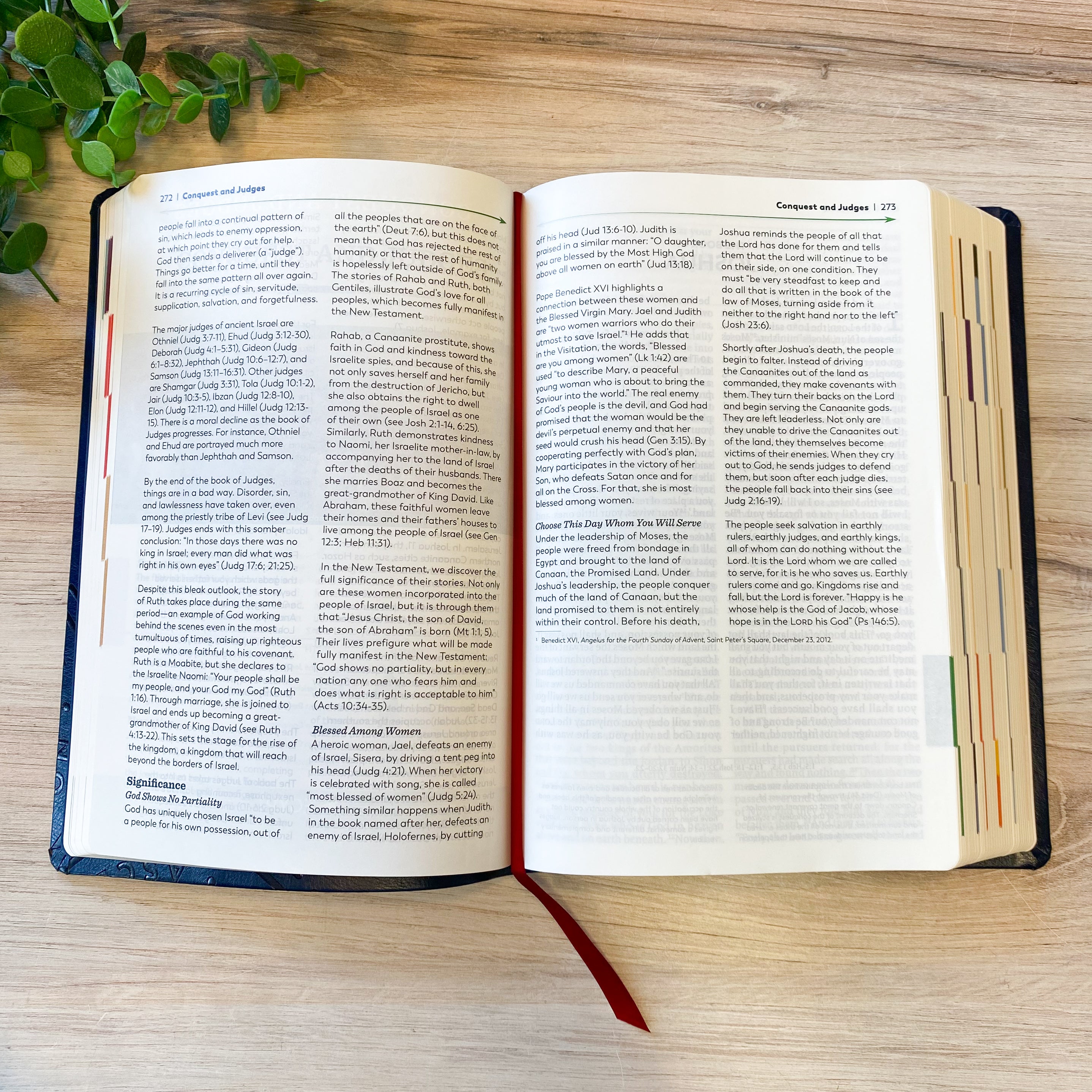 The Great Adventure Catholic Bible Second Edition | Large Print- New Day