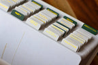 Catechism of the Catholic Church Tabs