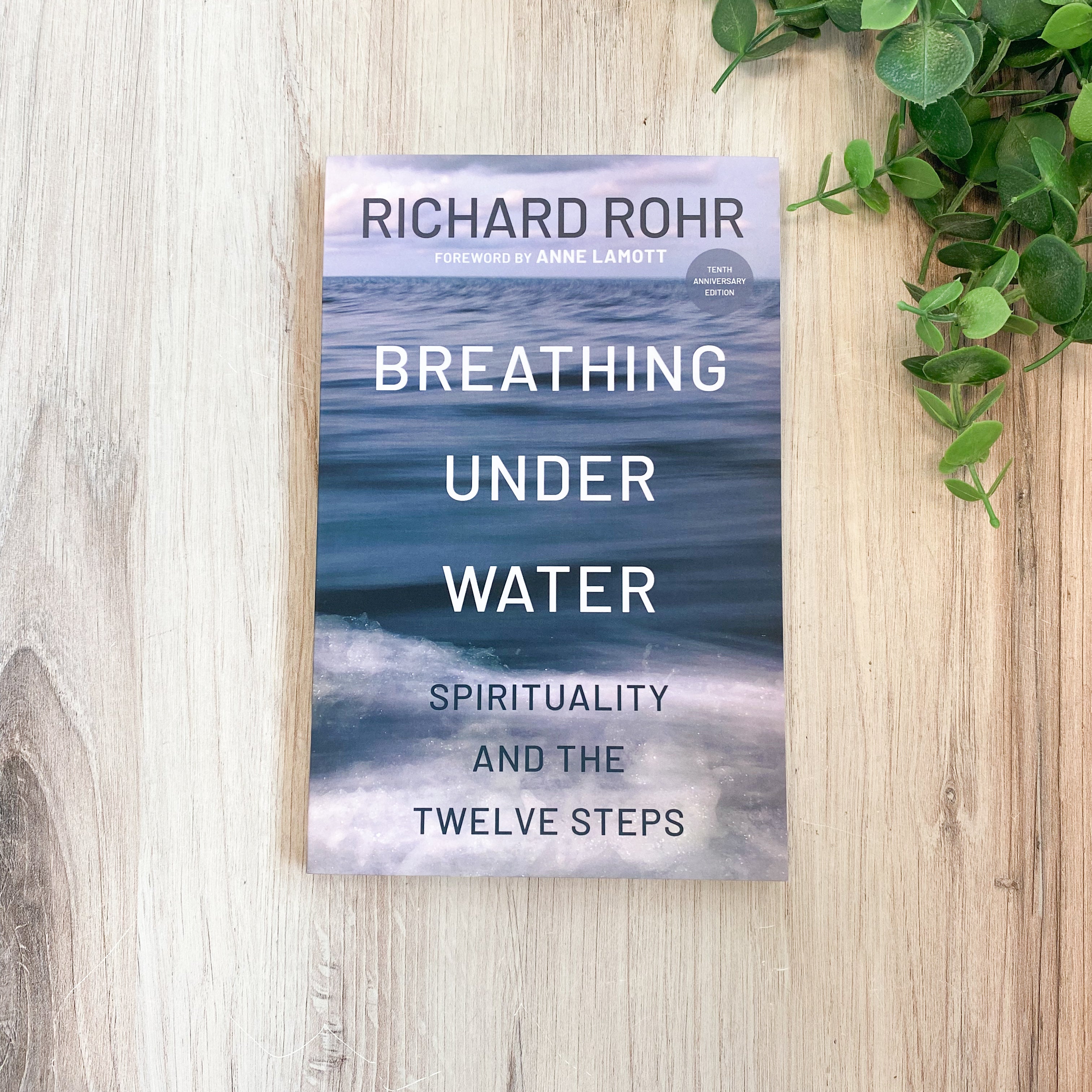 BREATHING UNDER WATER...12 Steps  AA