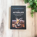 The Afterlife - Purgatory and Heaven Explained