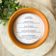 Basil Sweet Orange Garden Pot Candle