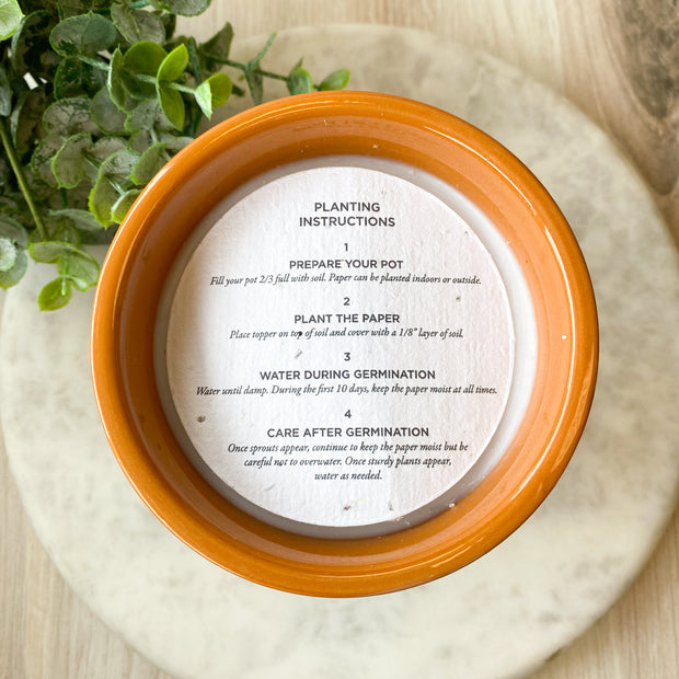 Basil Sweet Orange Garden Pot Candle