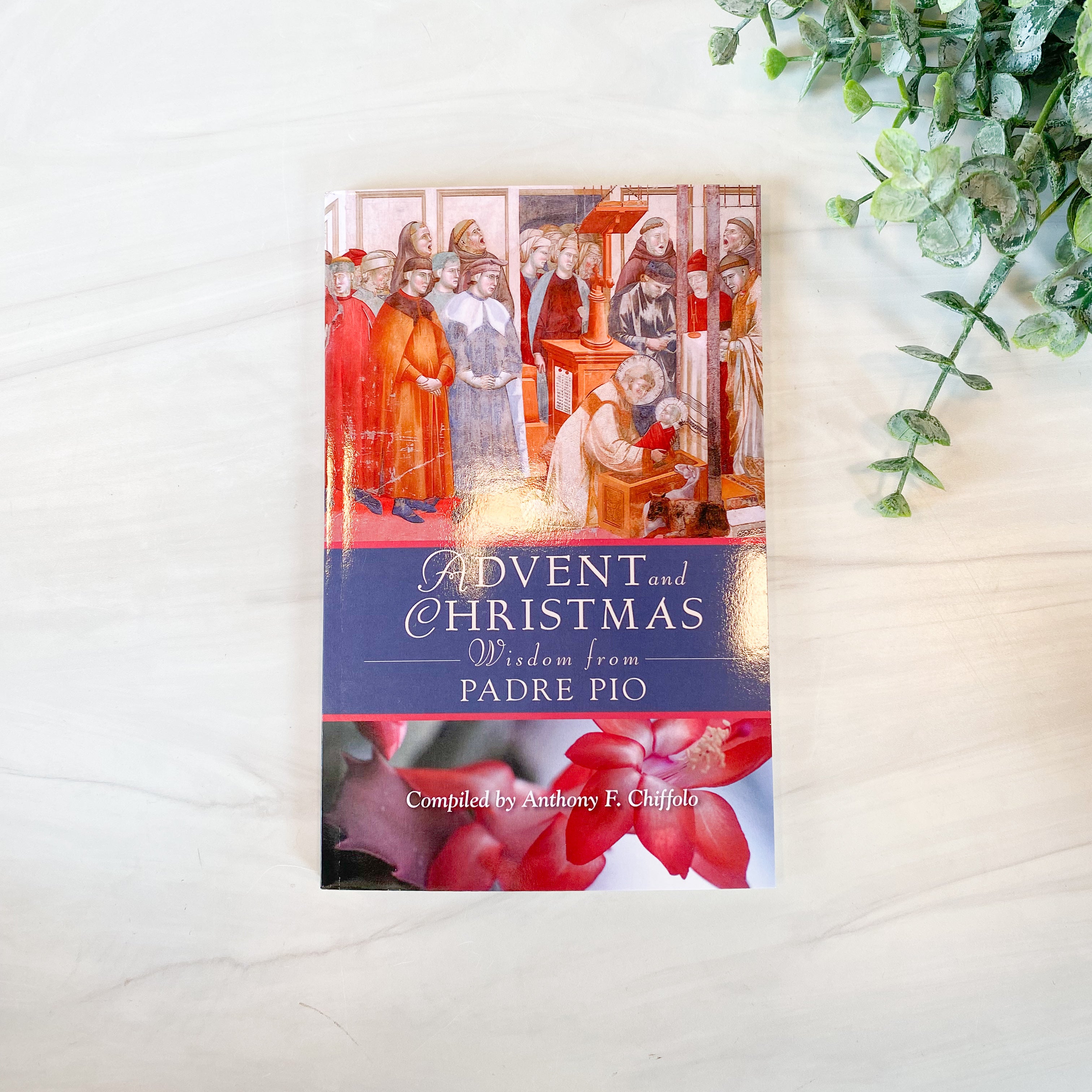 Advent and Christmas Wisdom from Padre Pio