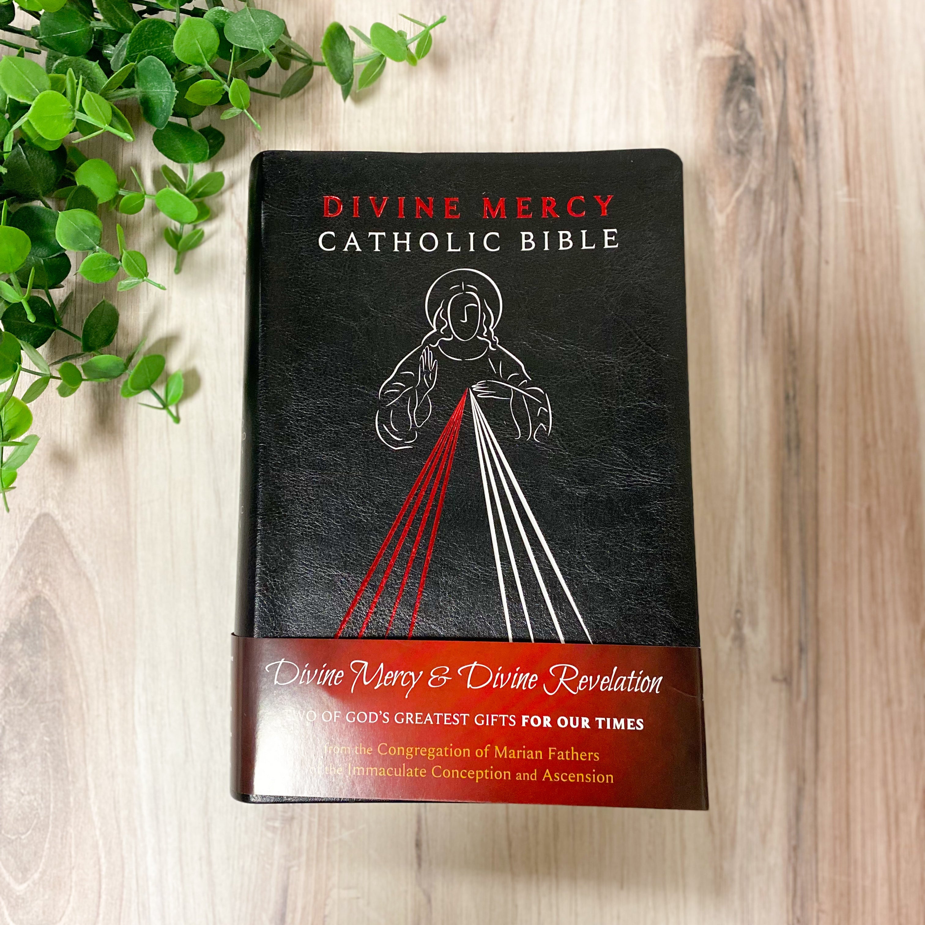 Divine Mercy Catholic Bible