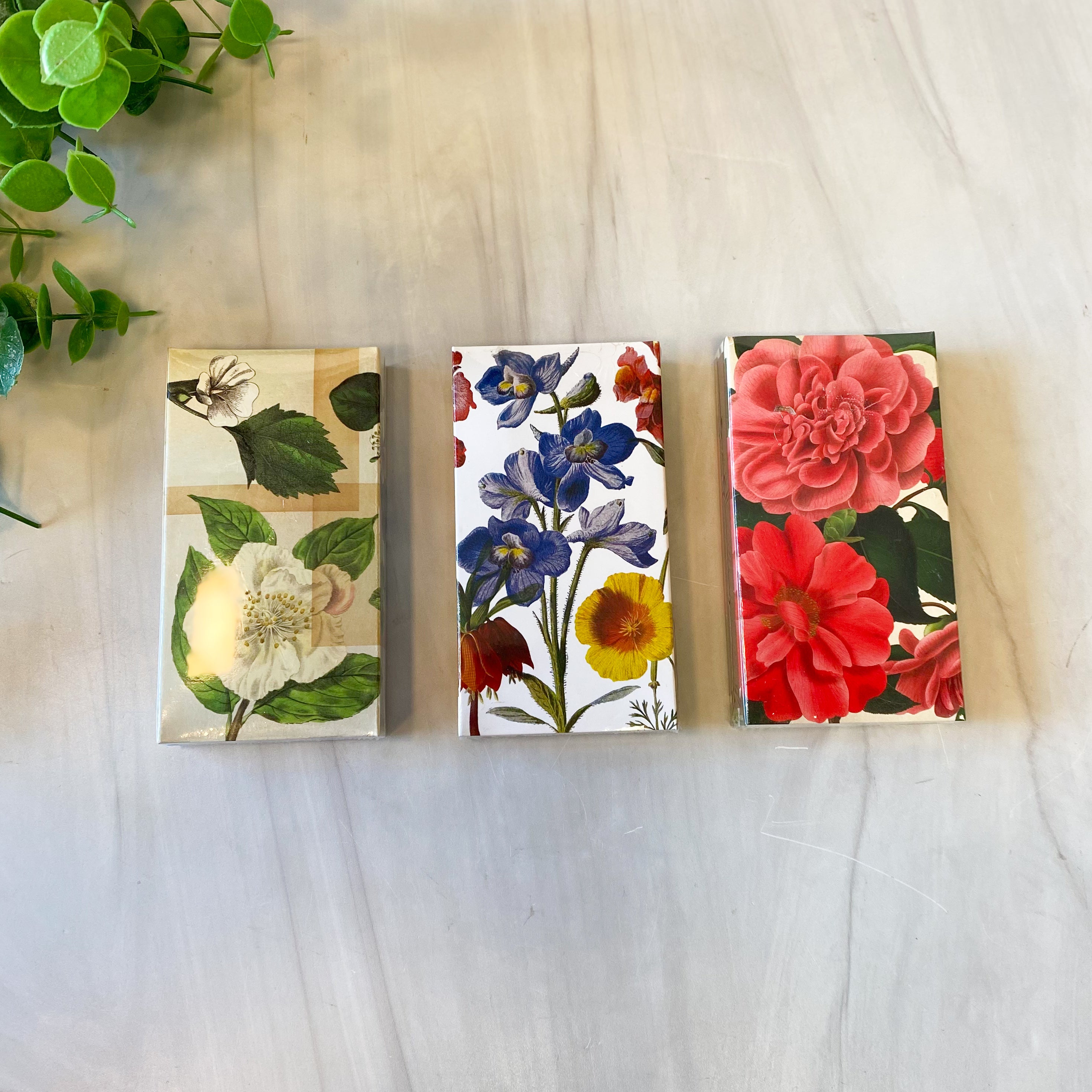 Matches - Camellia's