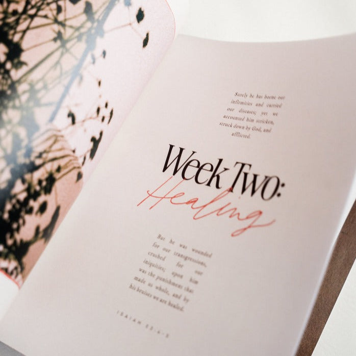 Rescued: Lent Devotional For Women