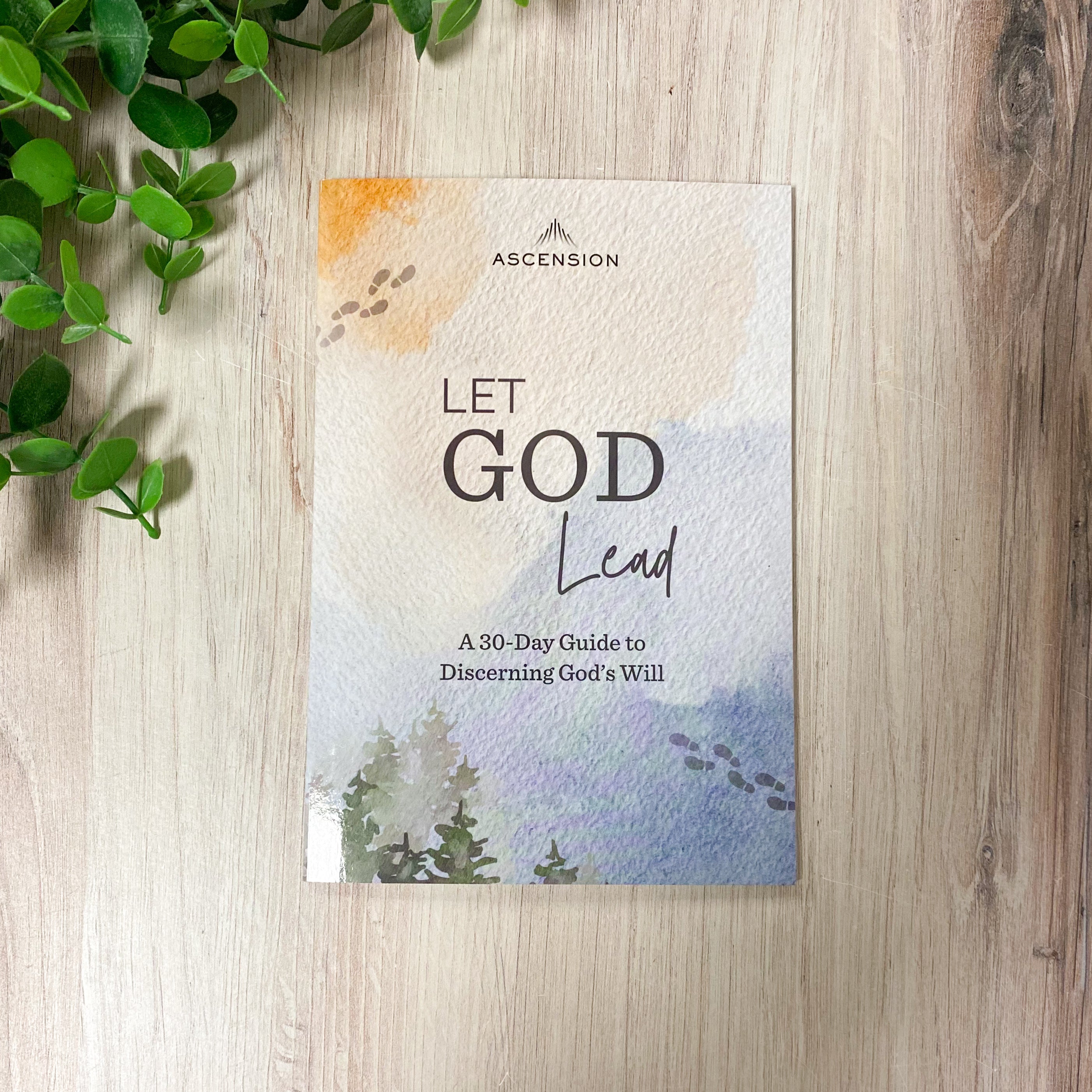 Let God Lead: A 30-Day Guide to Discerning His Will