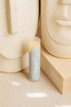 Assorted Lip Balm Pack