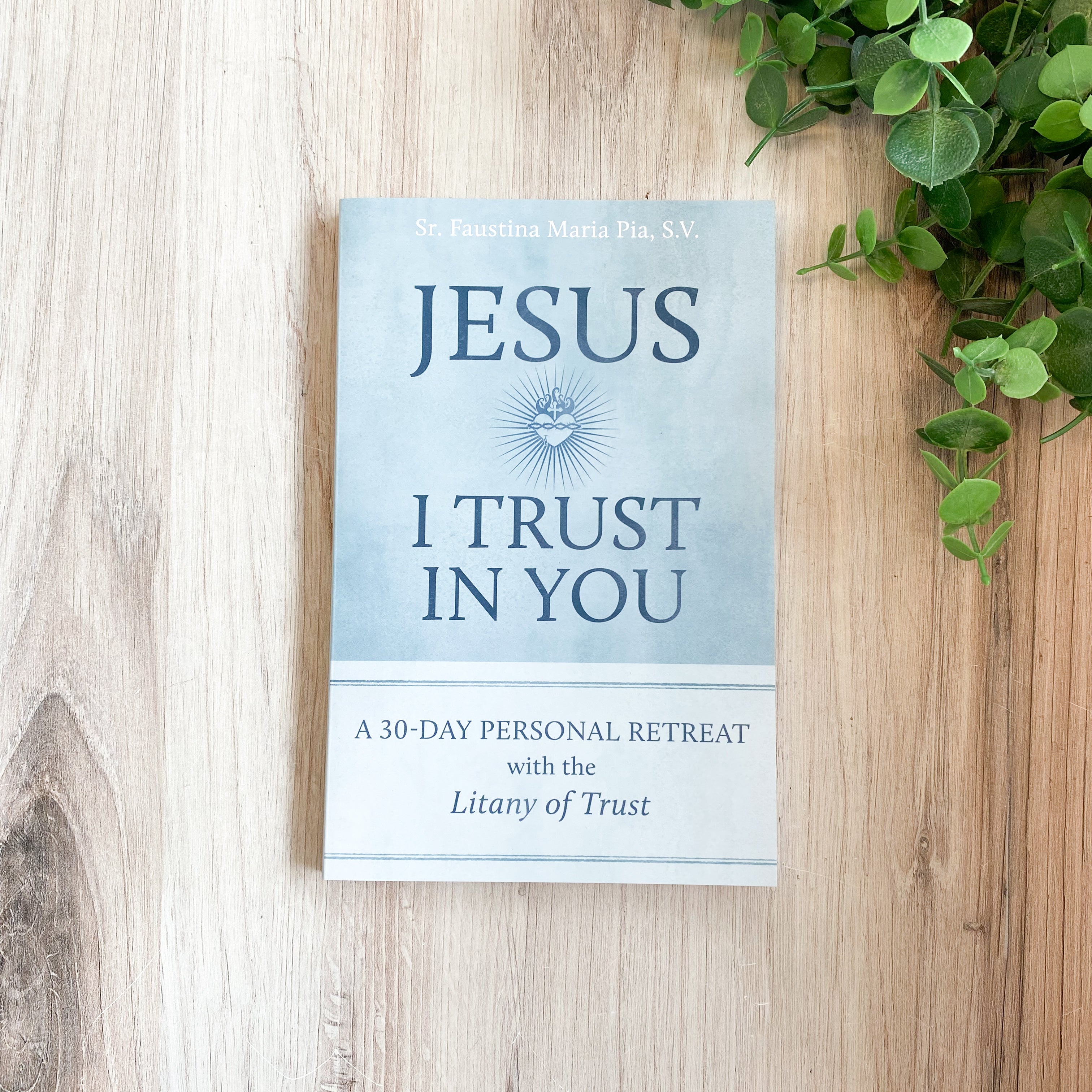 Jesus I Trust in You: A 30-Day Personal Retreat with the Litany of Trust