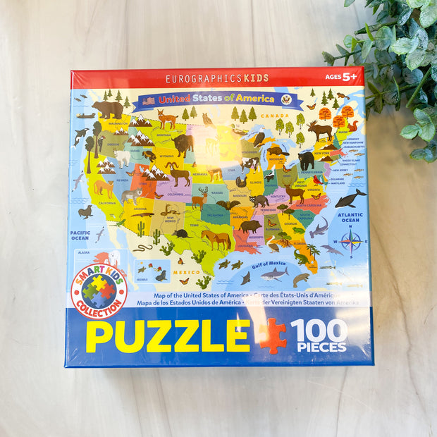 Puzzle: Illustrated Map of the United States of America