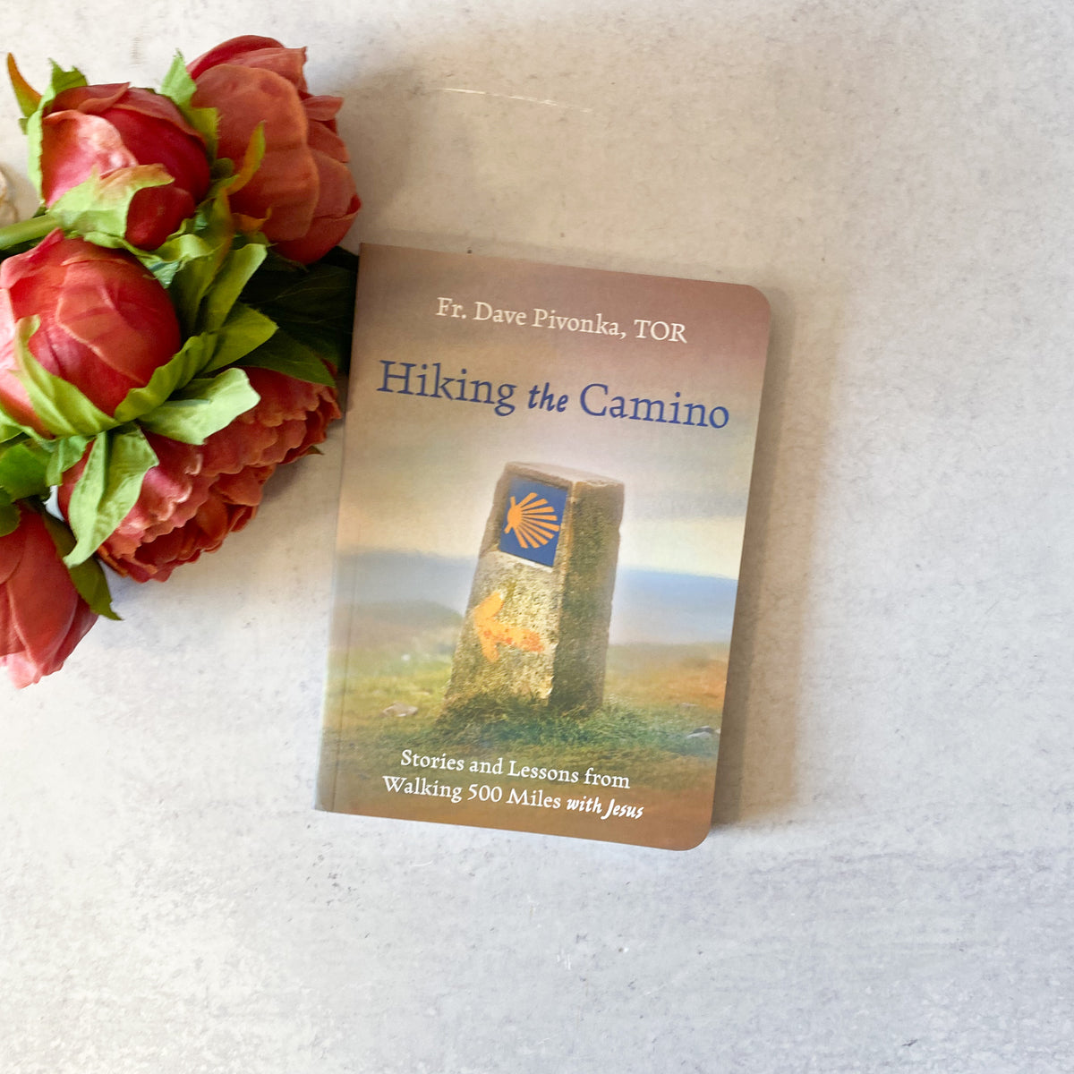 Hiking the Camino, Fr. Dave Pivonka, TOR