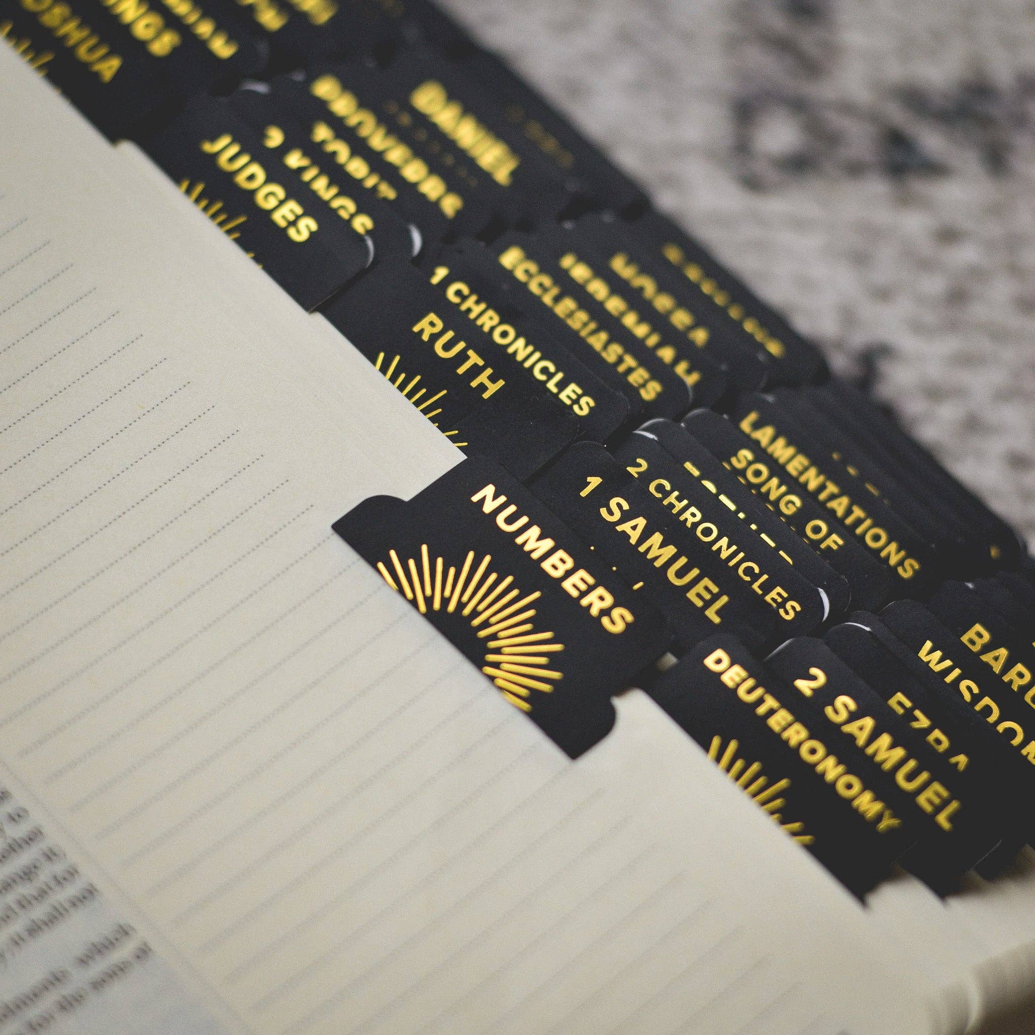 Light to My Path Catholic Bible Tabs – Crossroads Collective