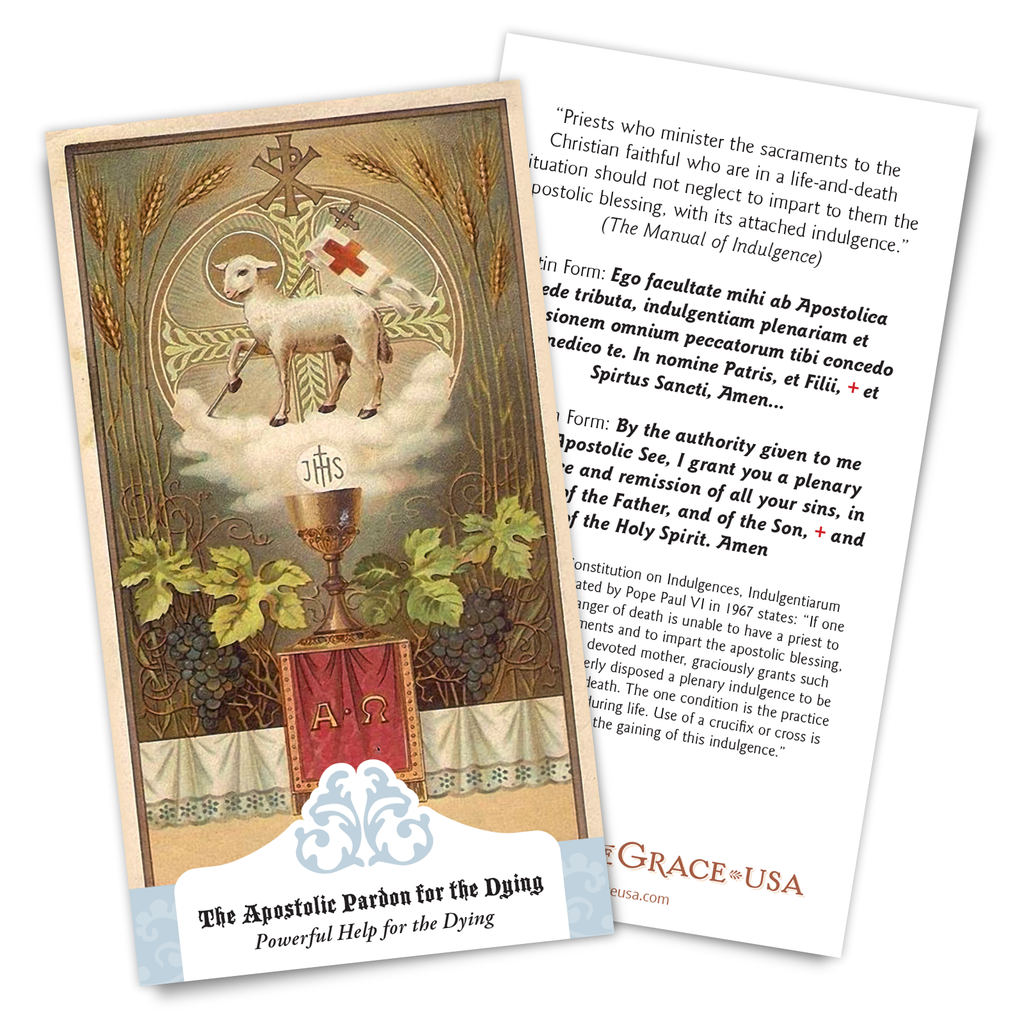 The Apostolic Pardon ( NEW 2026 Translation)
