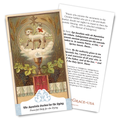The Apostolic Pardon ( NEW 2026 Translation)
