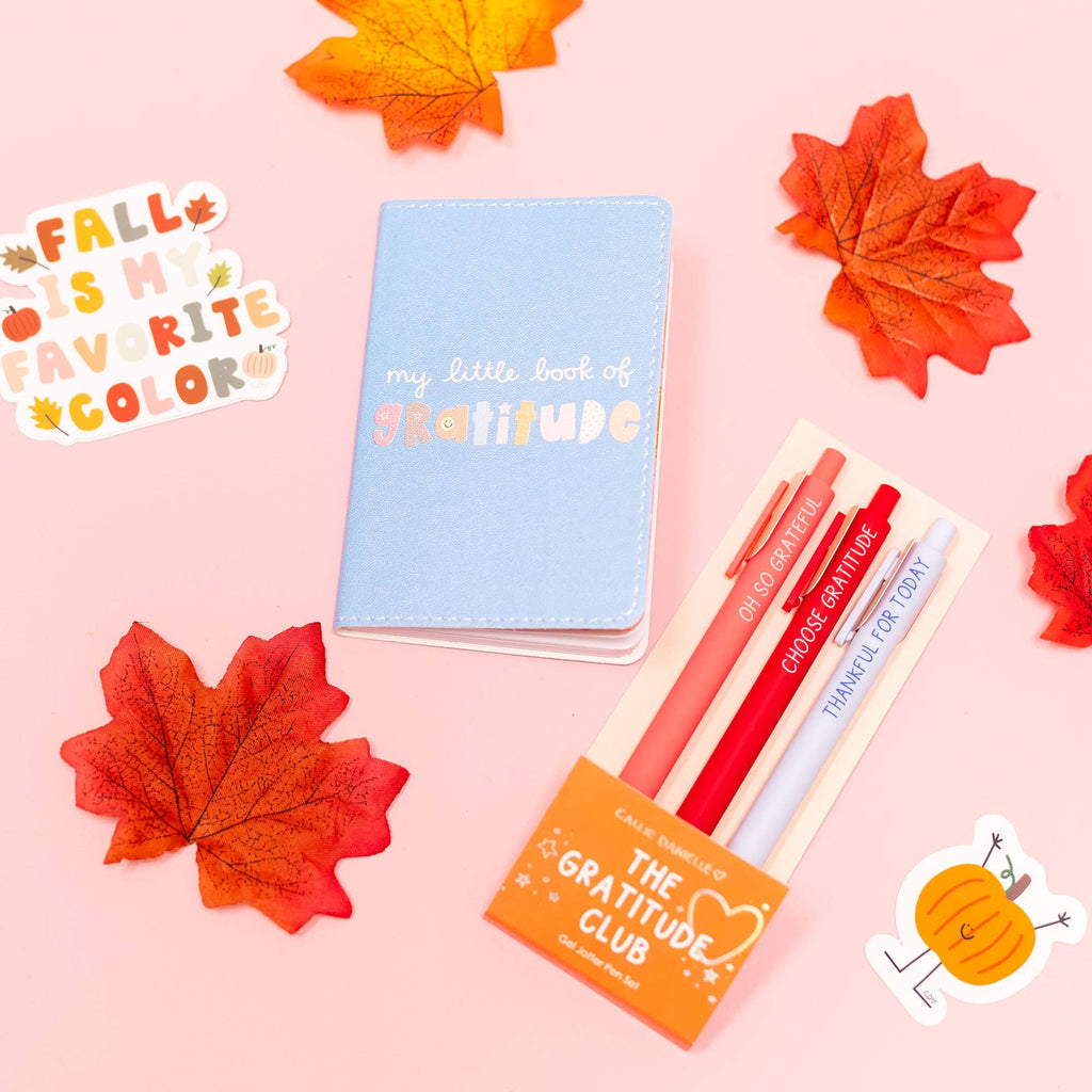 Little Book Of Gratitude Guided Pocket Journal