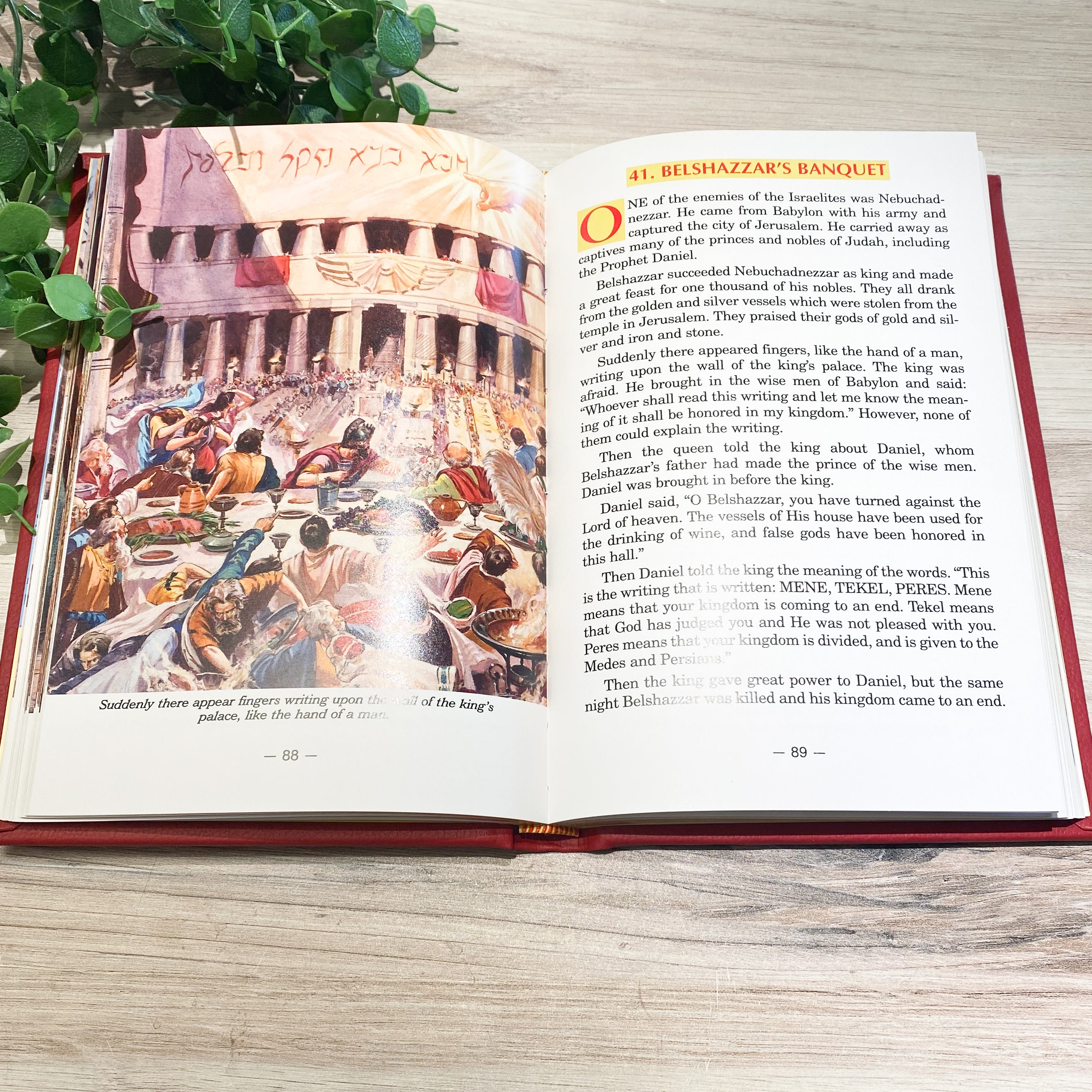 Catholic Picture Bible
