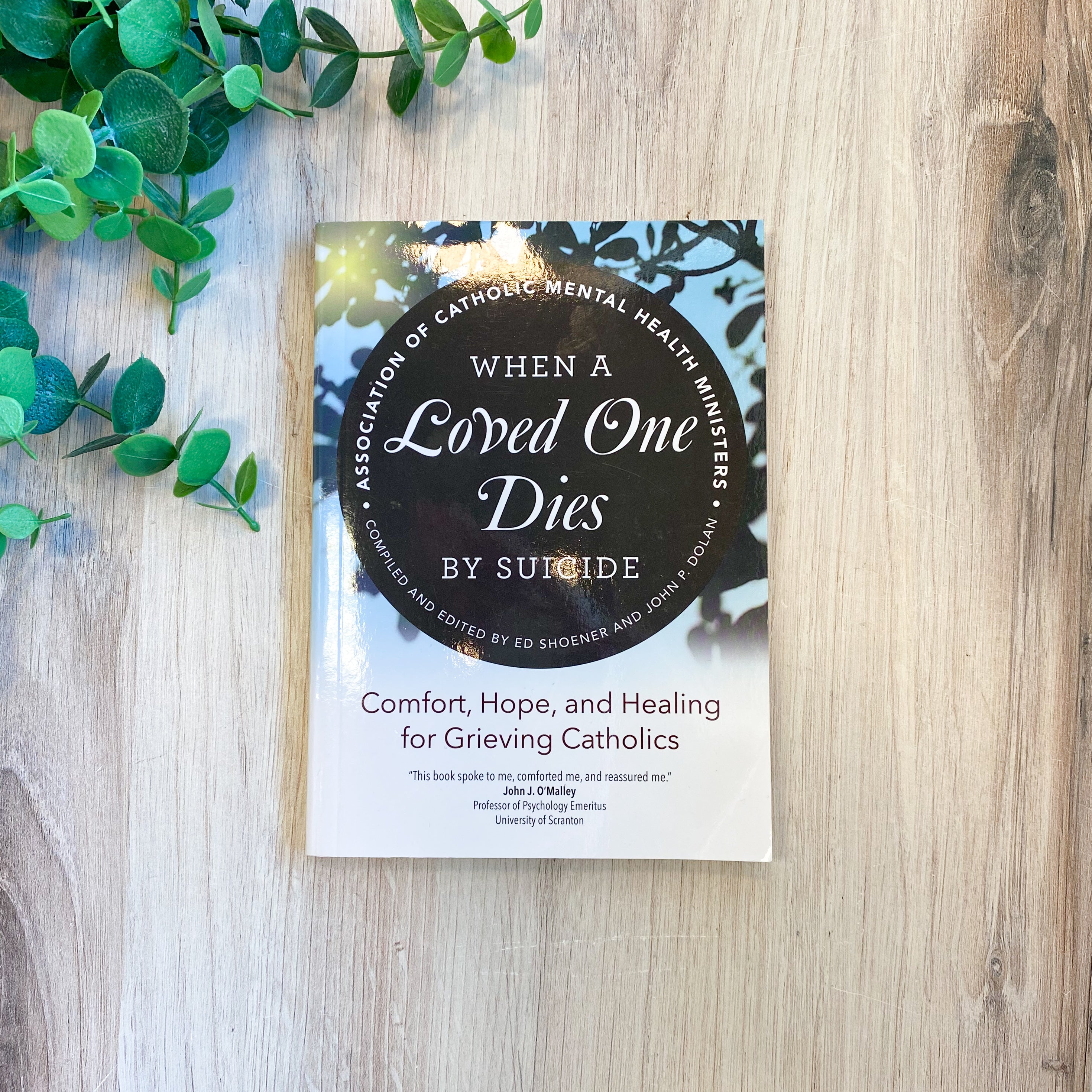 When a Loved One Dies by Suicide: Comfort, Hope, and Healing for Grieving Catholics