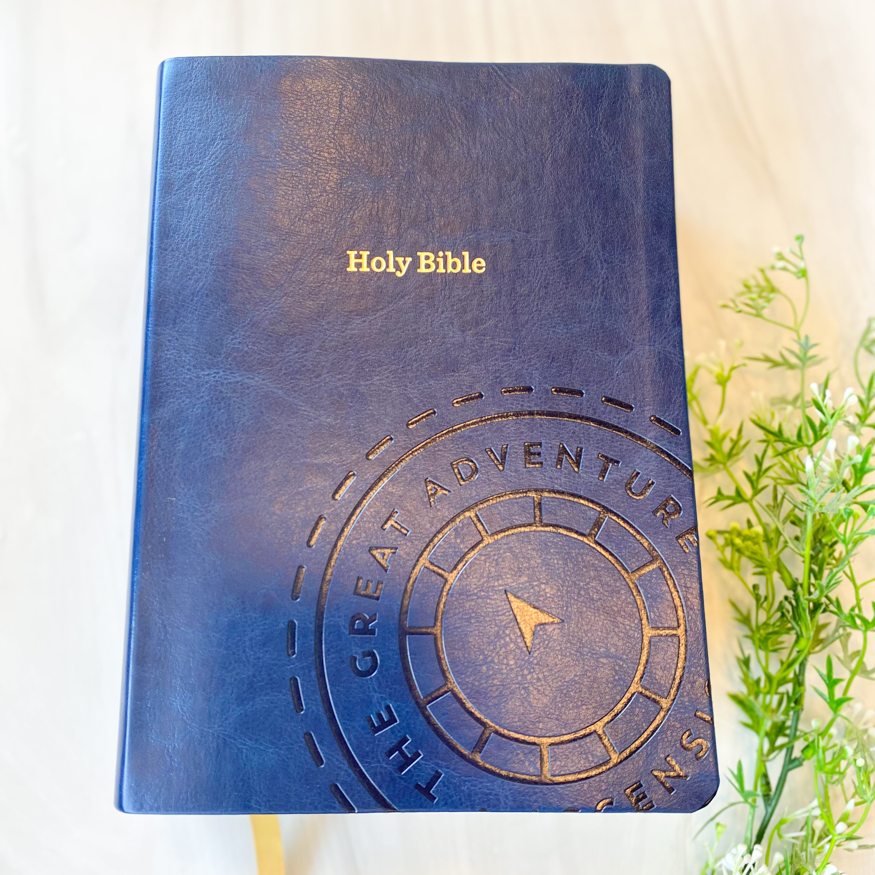 The Great Adventure Catholic Bible Second Edition | Notetaking Bible
