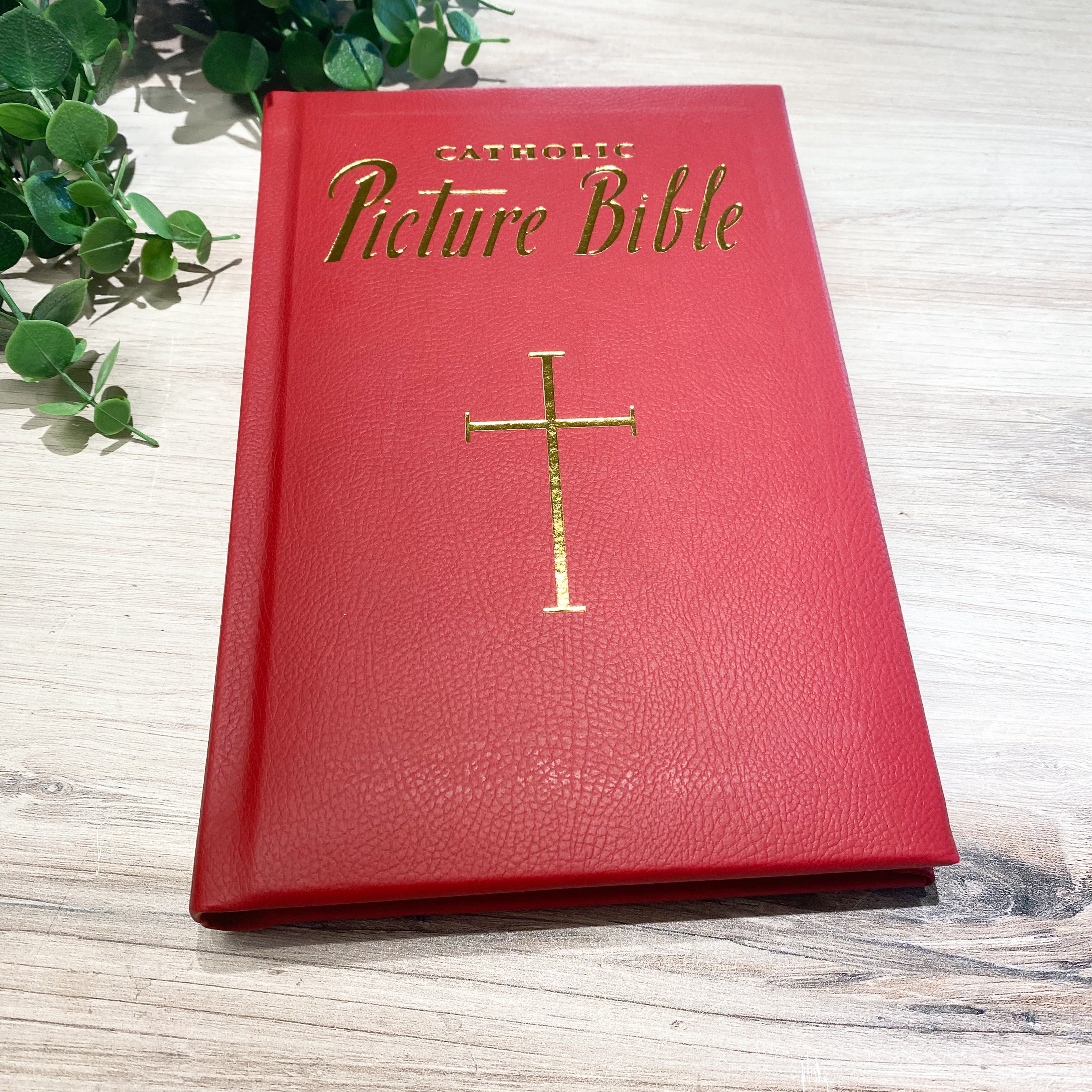 Catholic Picture Bible