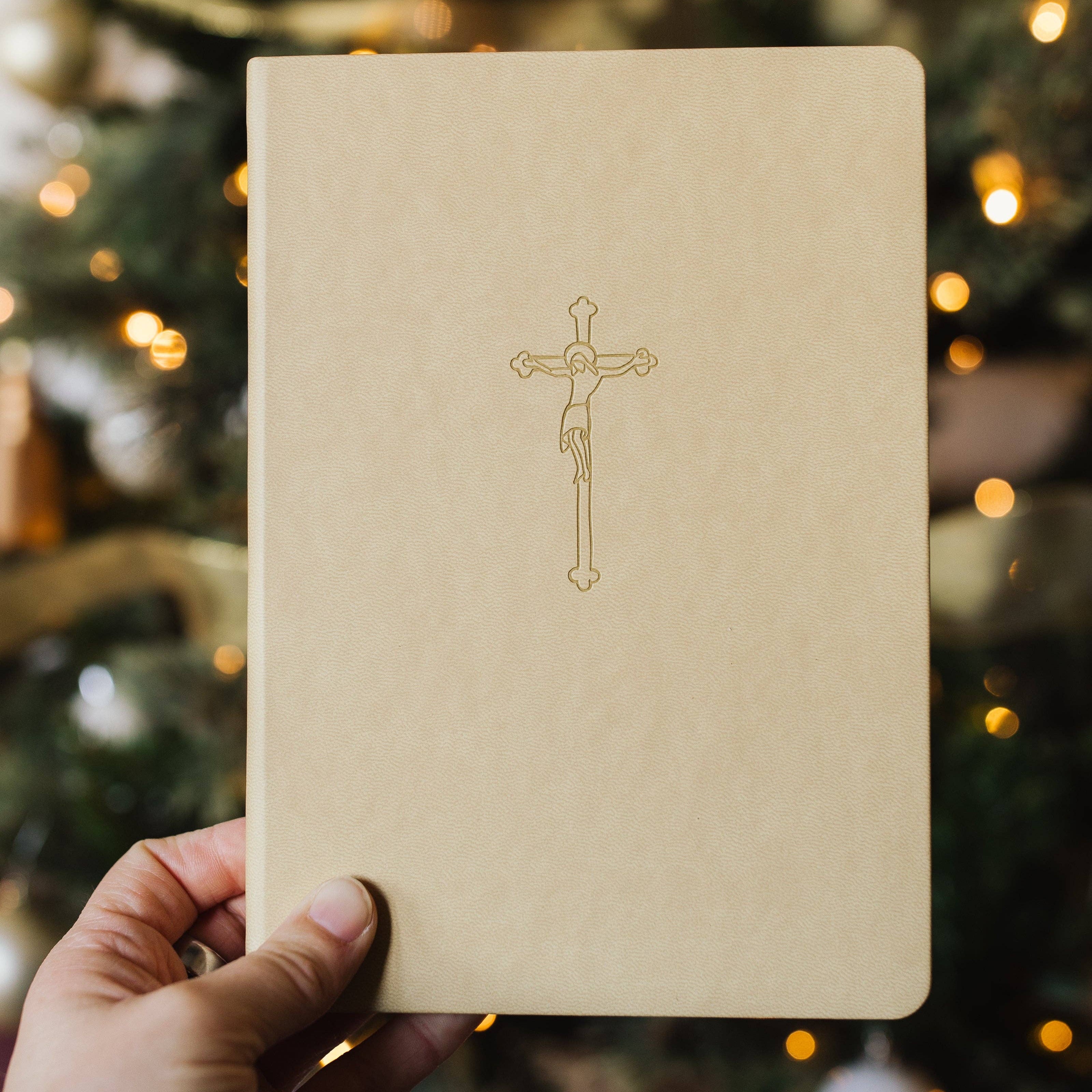 The Crucifixion Notebook