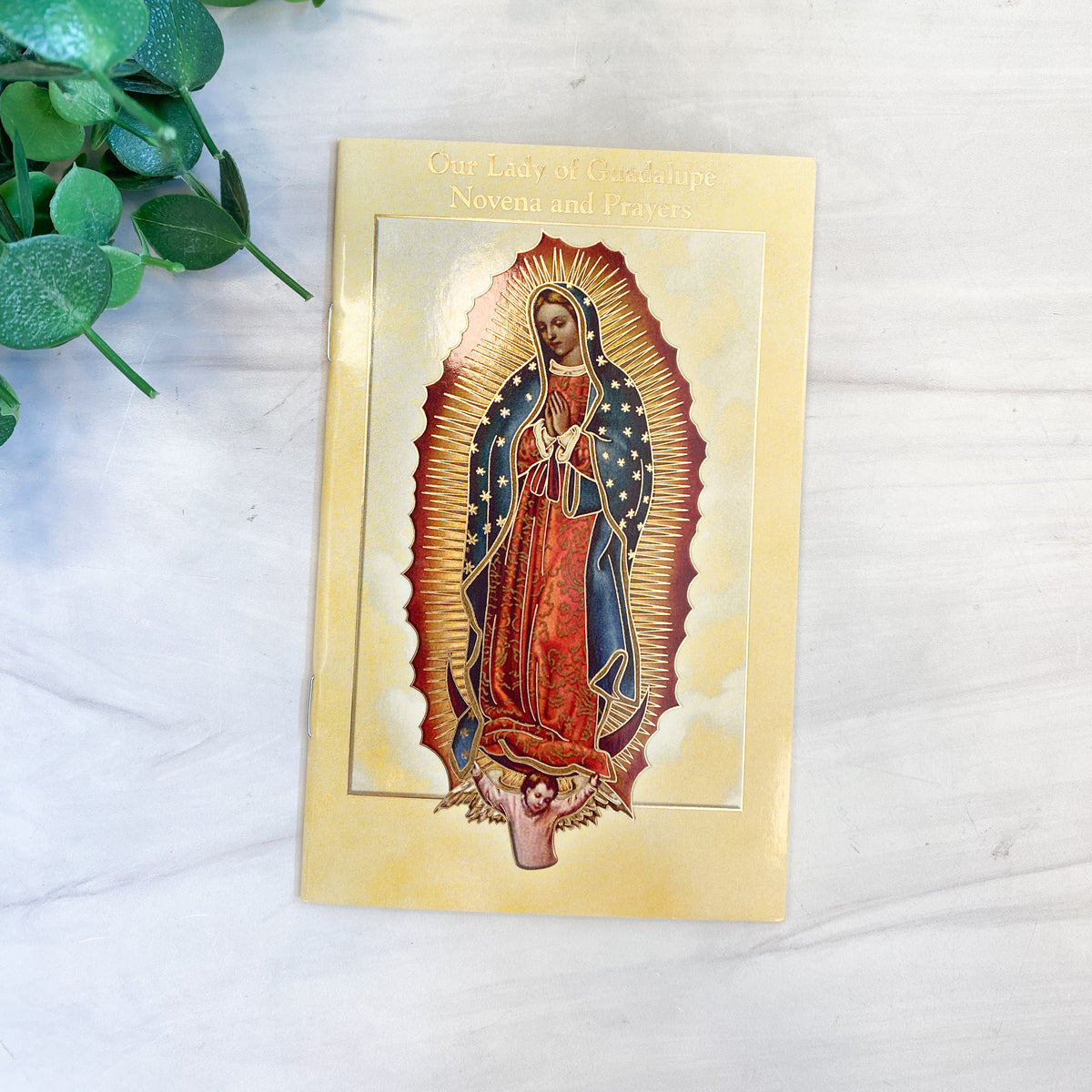 Our Lady of Guadalupe Novena Book