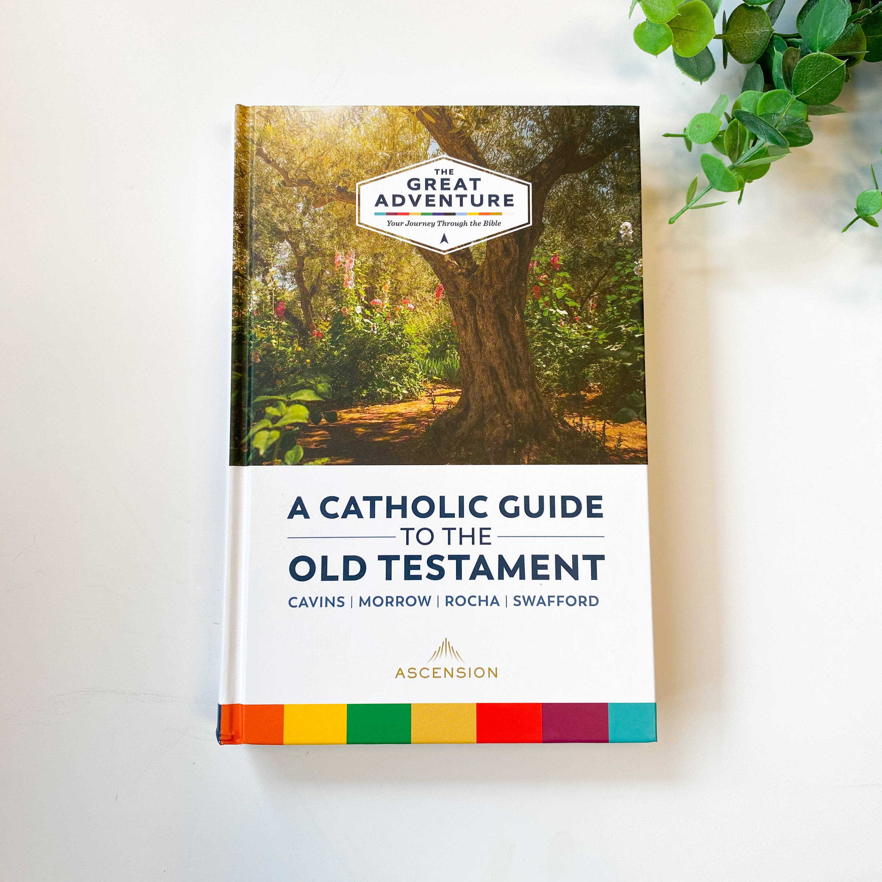 A Catholic Guide to the Old Testament