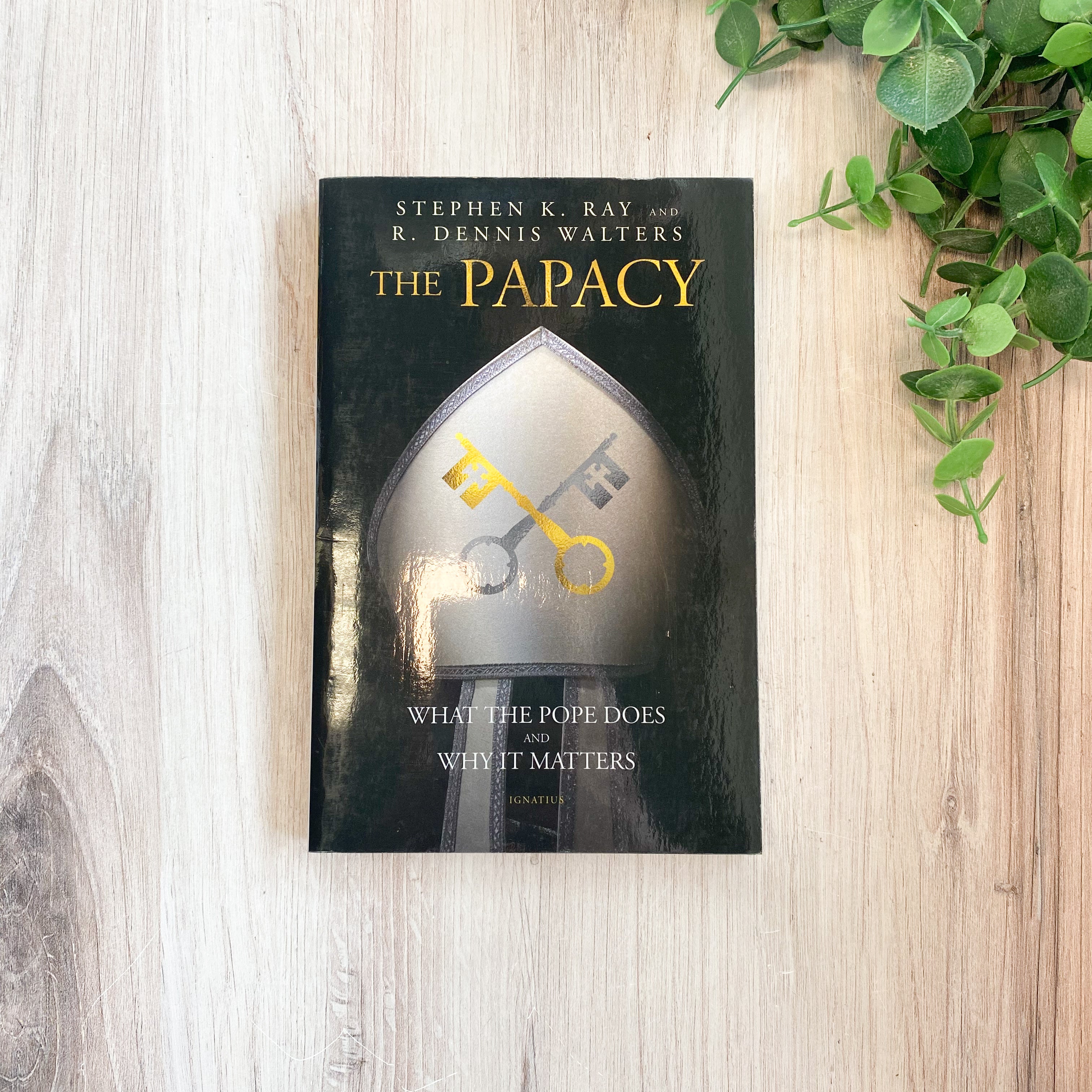 PAPACY What Pope Does & Why It Matters