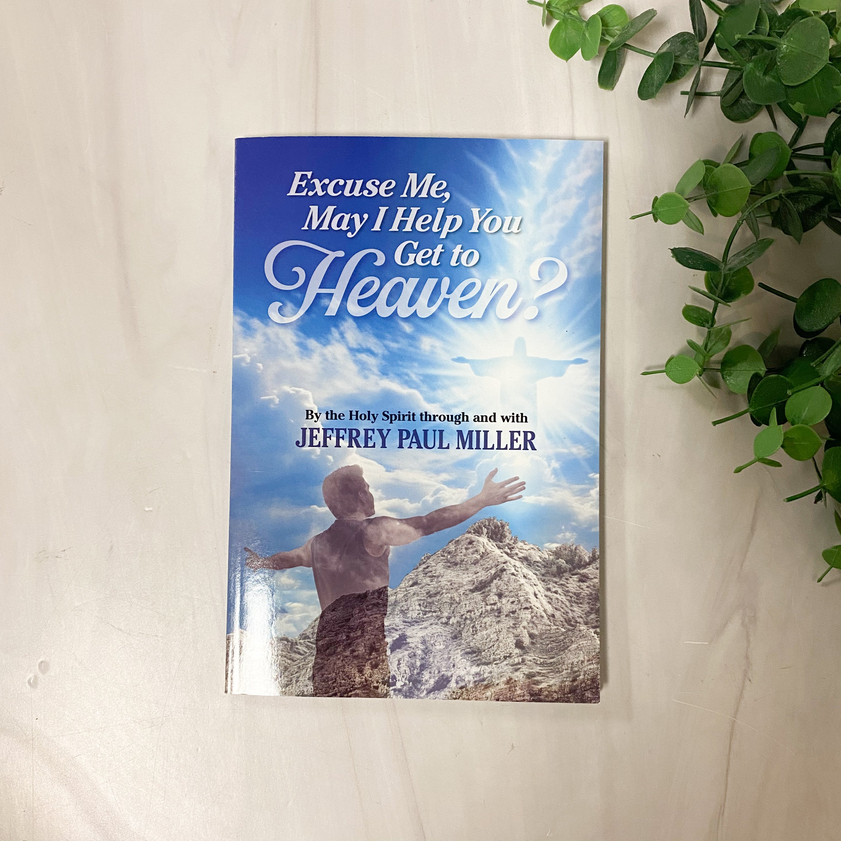 Excuse Me, May I Help You Get to Heaven book