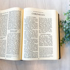 Ignatius Bible: Revised Standard Version, Leather LARGE PRINT