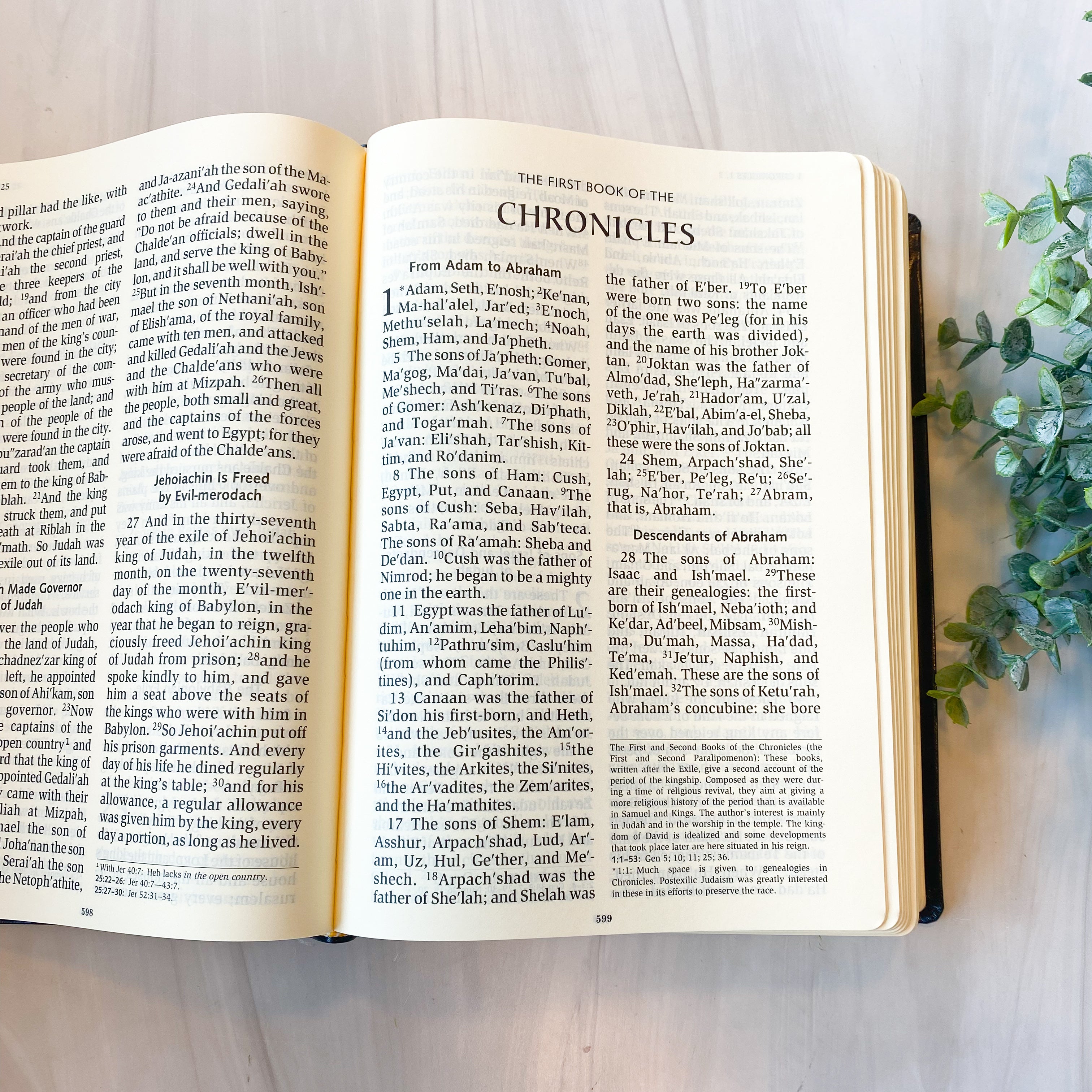 Ignatius Bible: Revised Standard Version, Leather LARGE PRINT