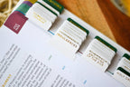 Catechism of the Catholic Church Tabs