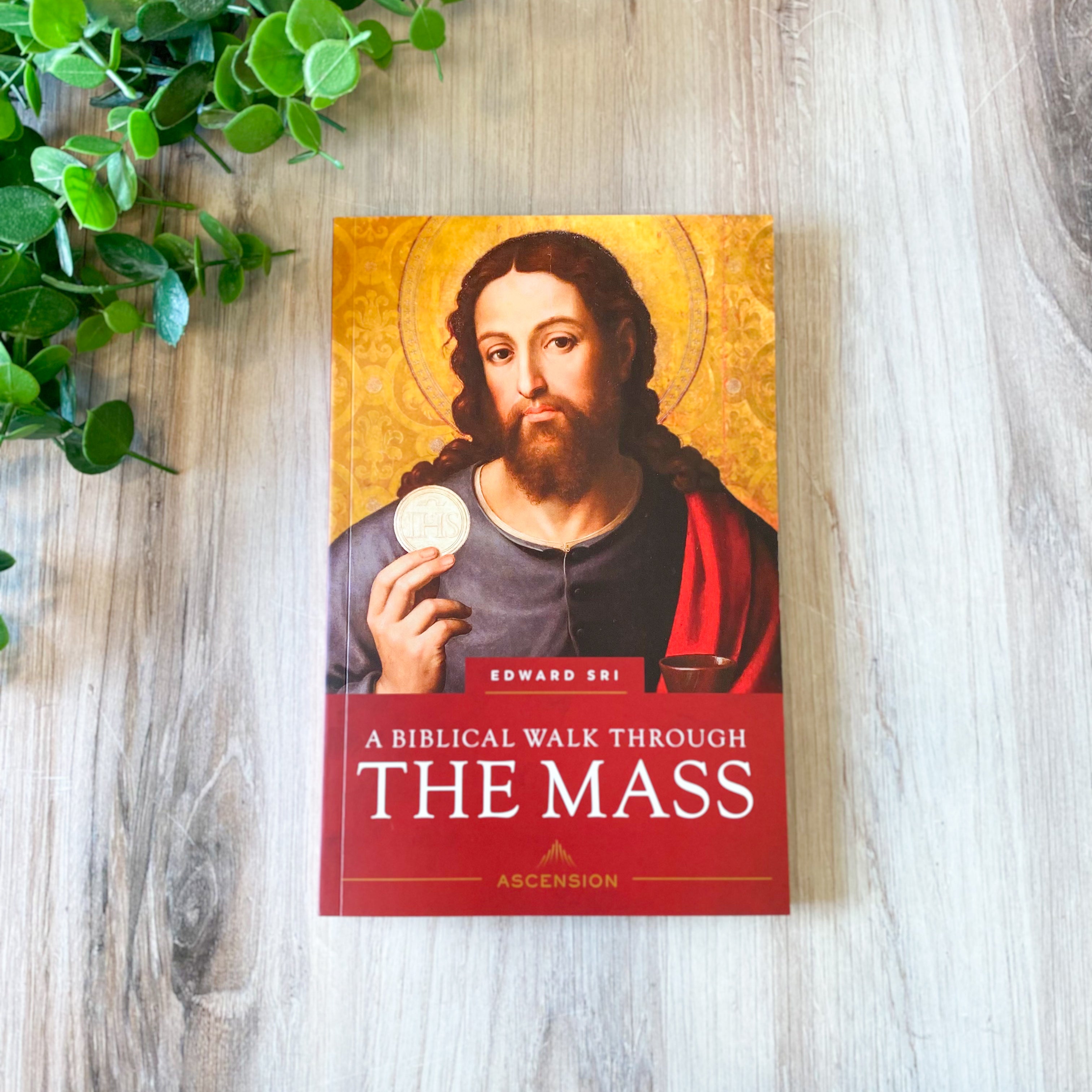 A Biblical Walk Through the Mass Book