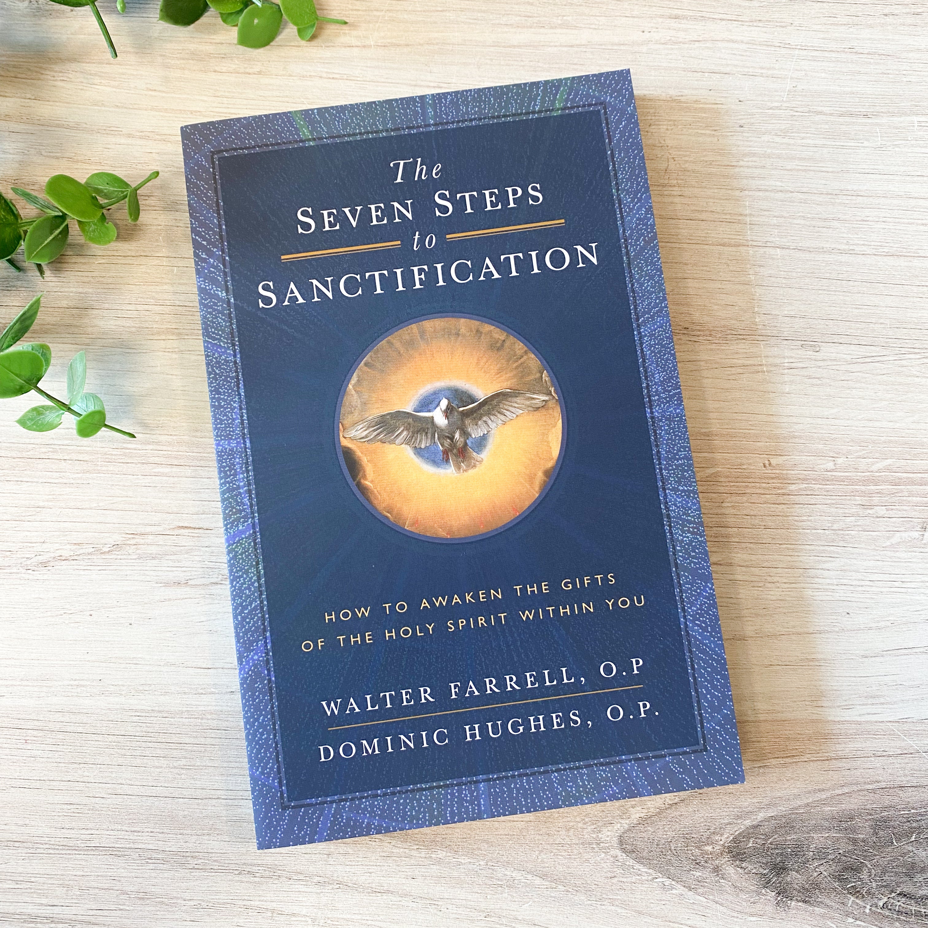 Seven Steps to Sanctification