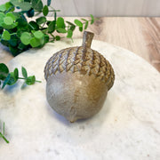 Whitewashed Brown Resin Acorn