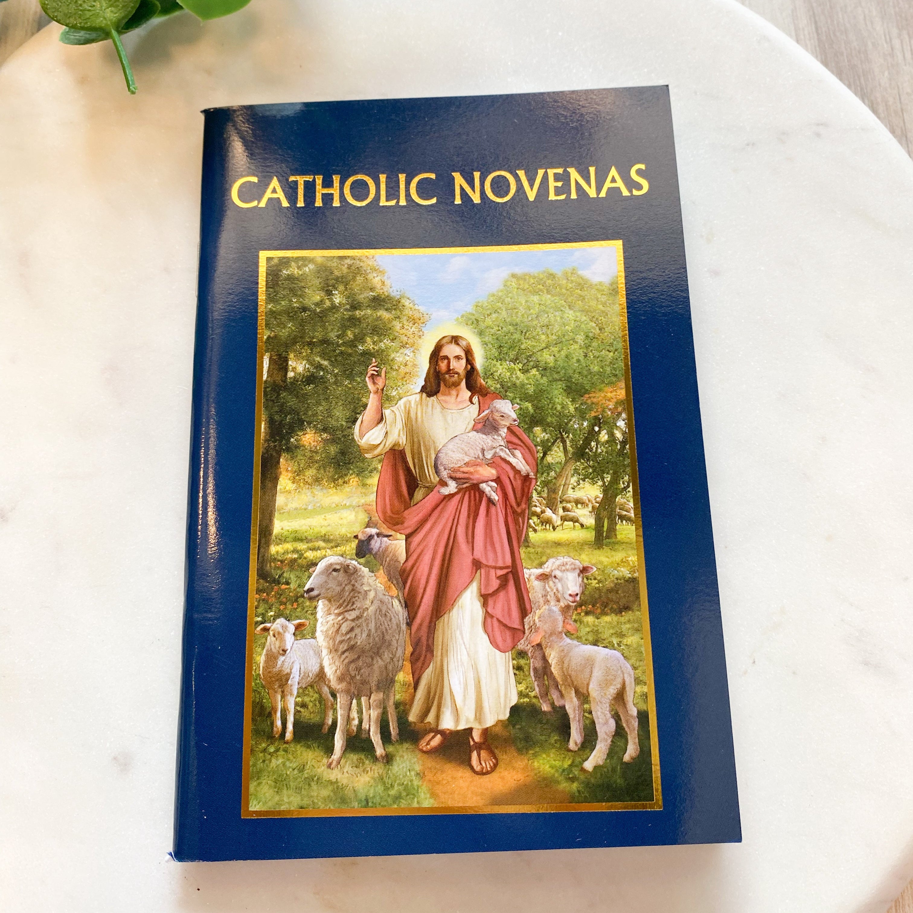Catholic Novenas