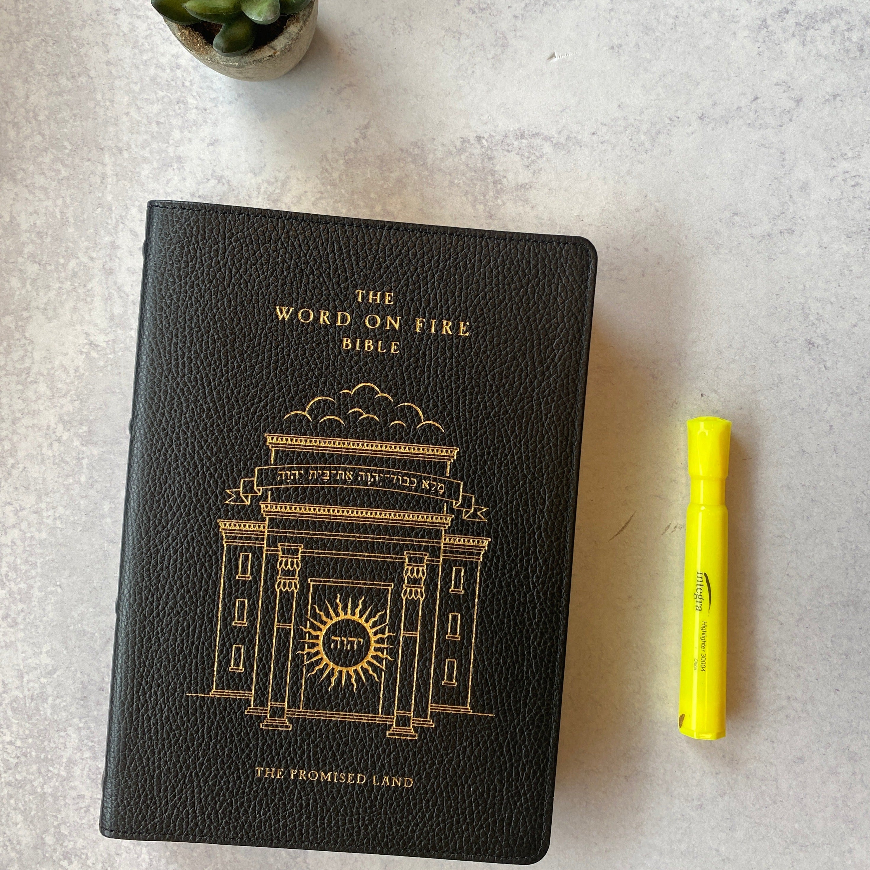 The Word on Fire Bible (Volume IV): The Promised Land - Leather