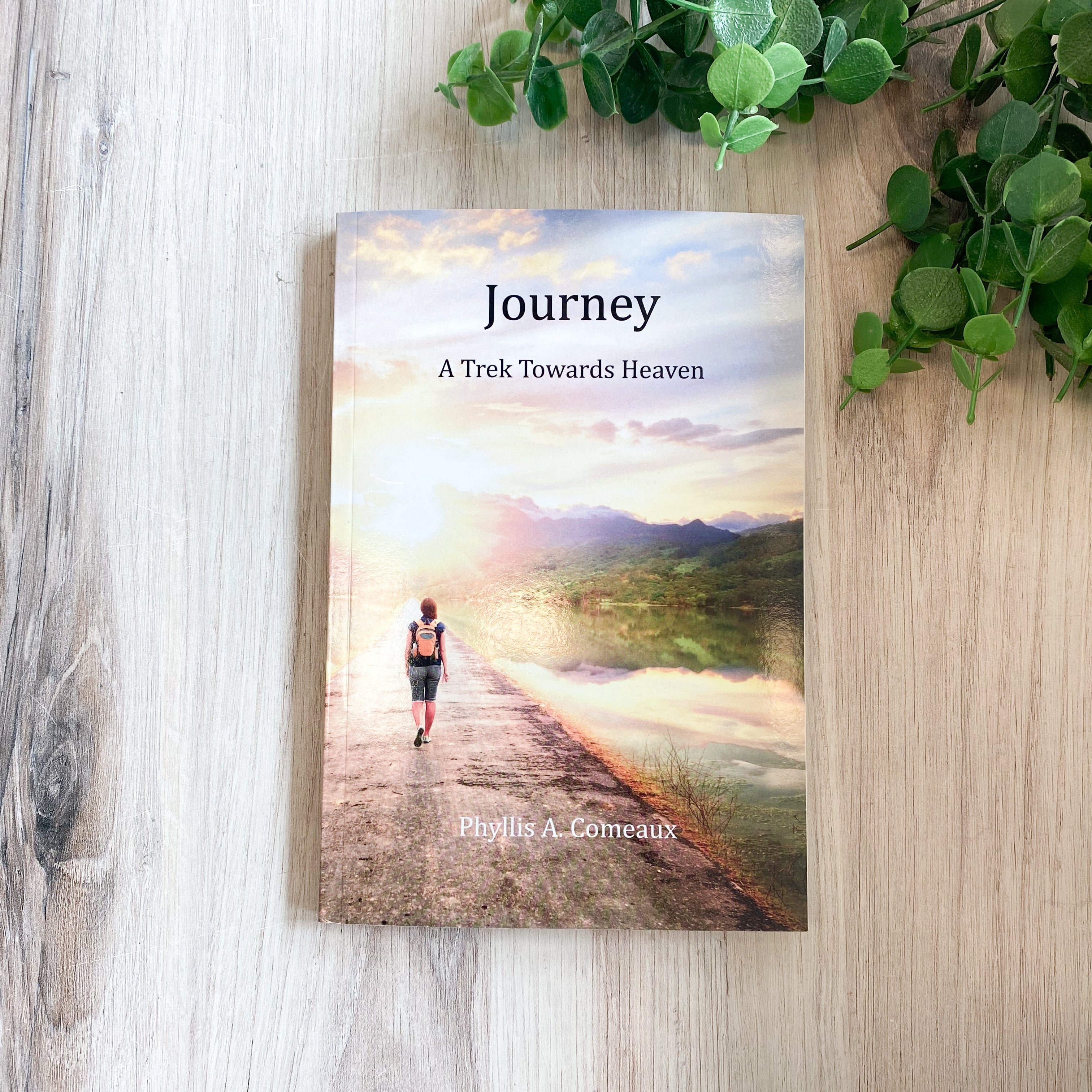 Journey: A Trek Towards Heaven