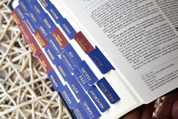Ignatius Study Catholic Bible Tabs