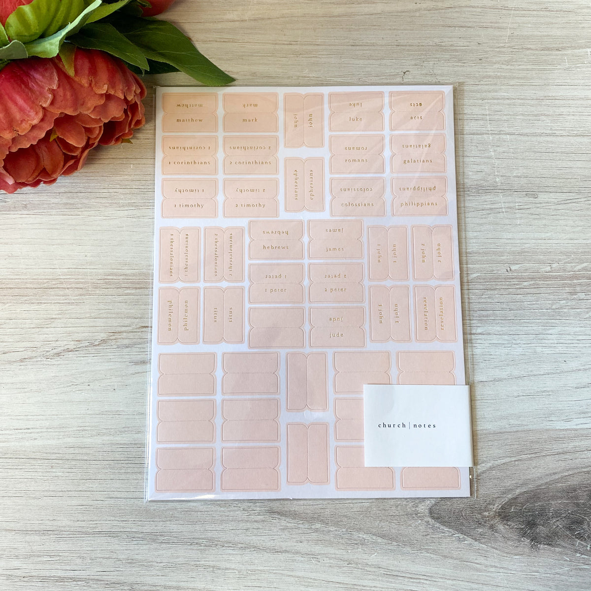 Pink and Cream Bible Tabs
