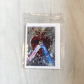 Divine Mercy Cards