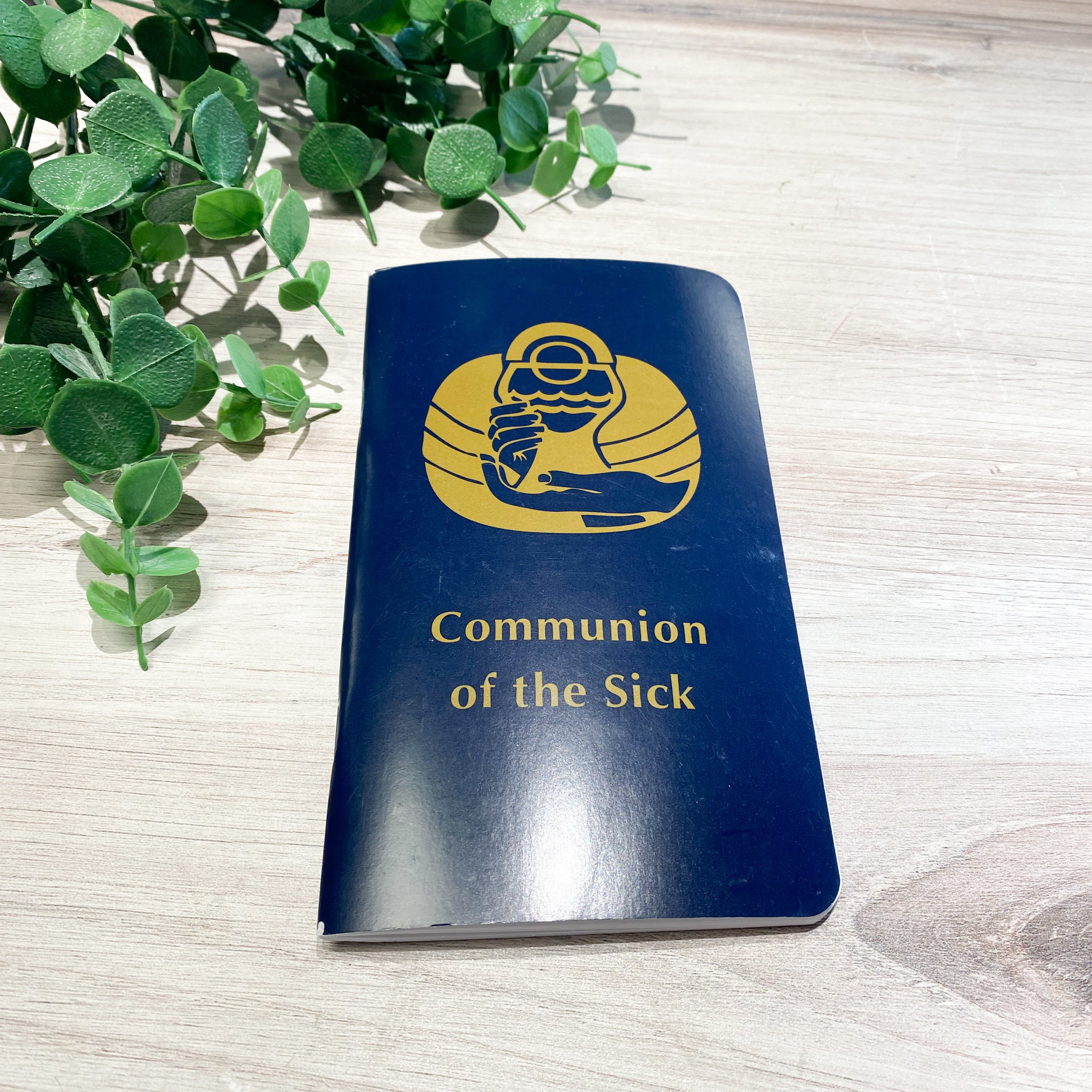 Communion of the Sick