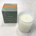 Frasier Fir Frosted 6.5 oz Boxed Candle