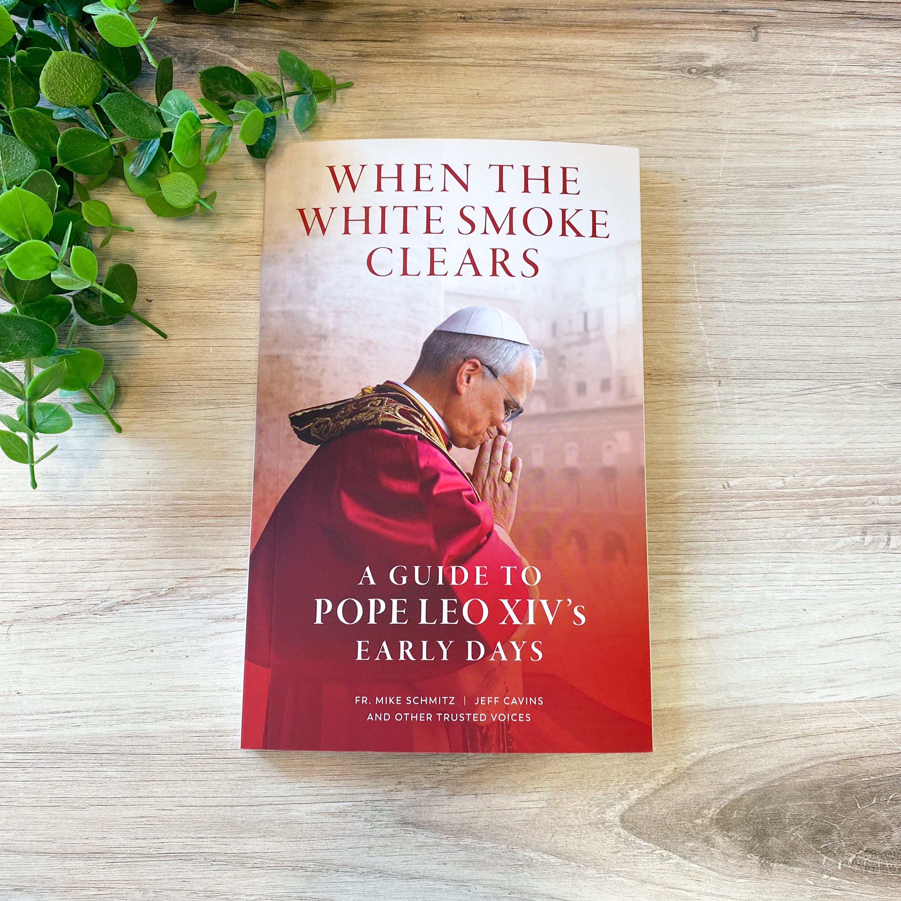 When the White Smoke Clears:  A Guide to Pope Leo XIV's Early Days