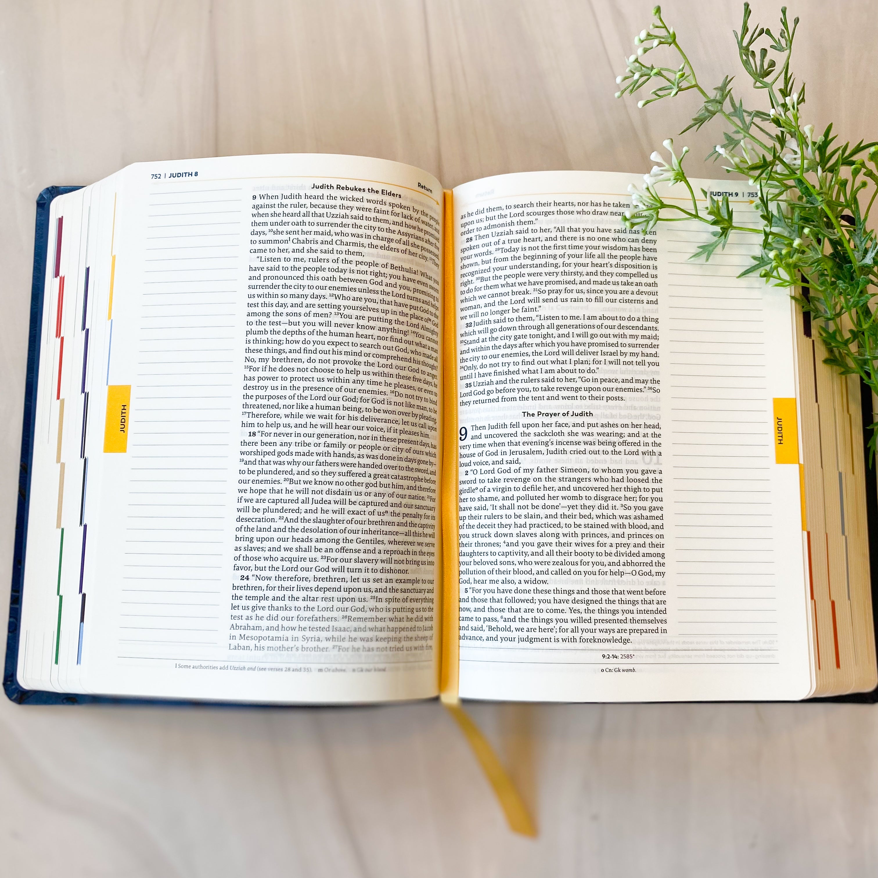 The Great Adventure Catholic Bible Second Edition | Notetaking Bible