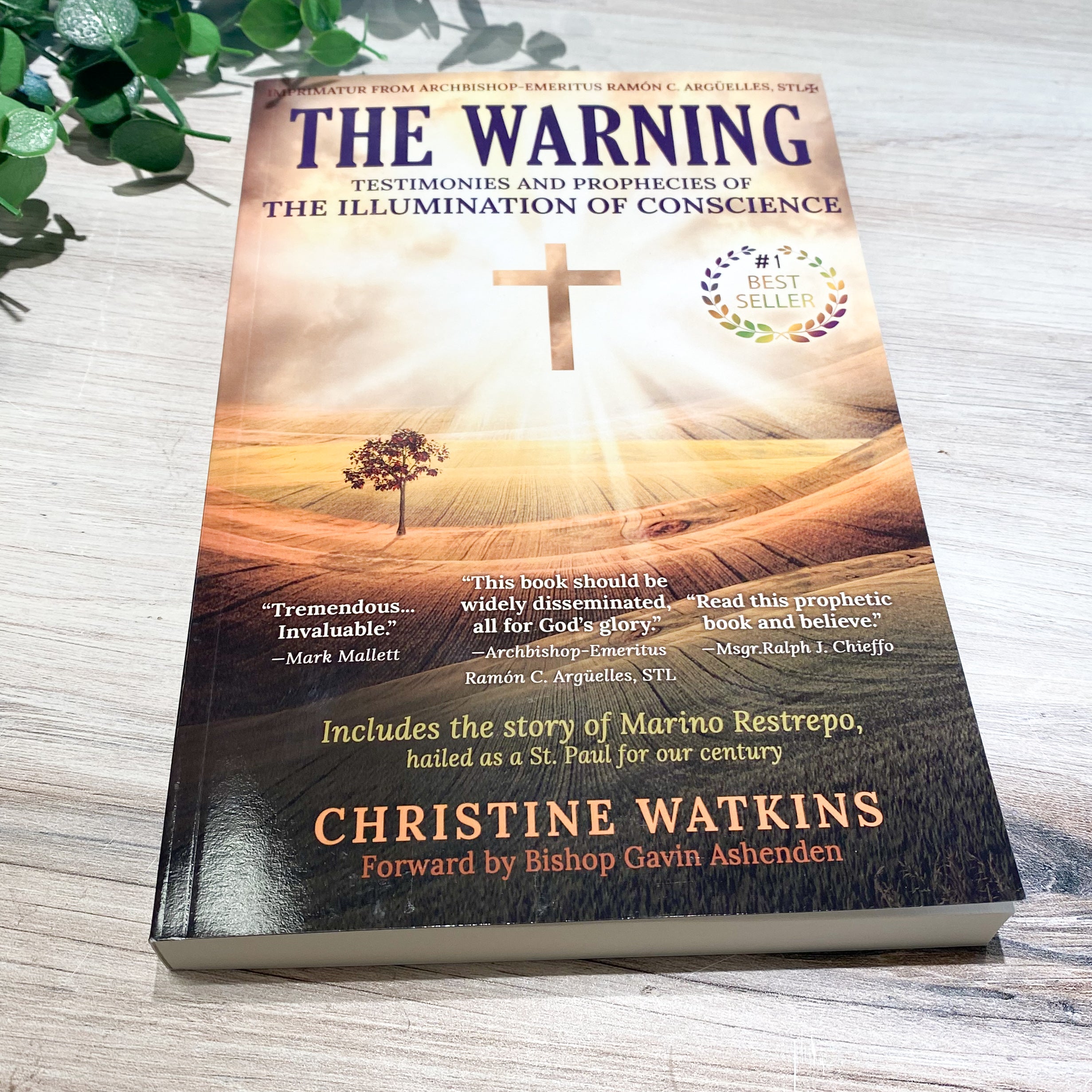 The Warning: Testimonies and Prophesies of the Illumination of Conscience
