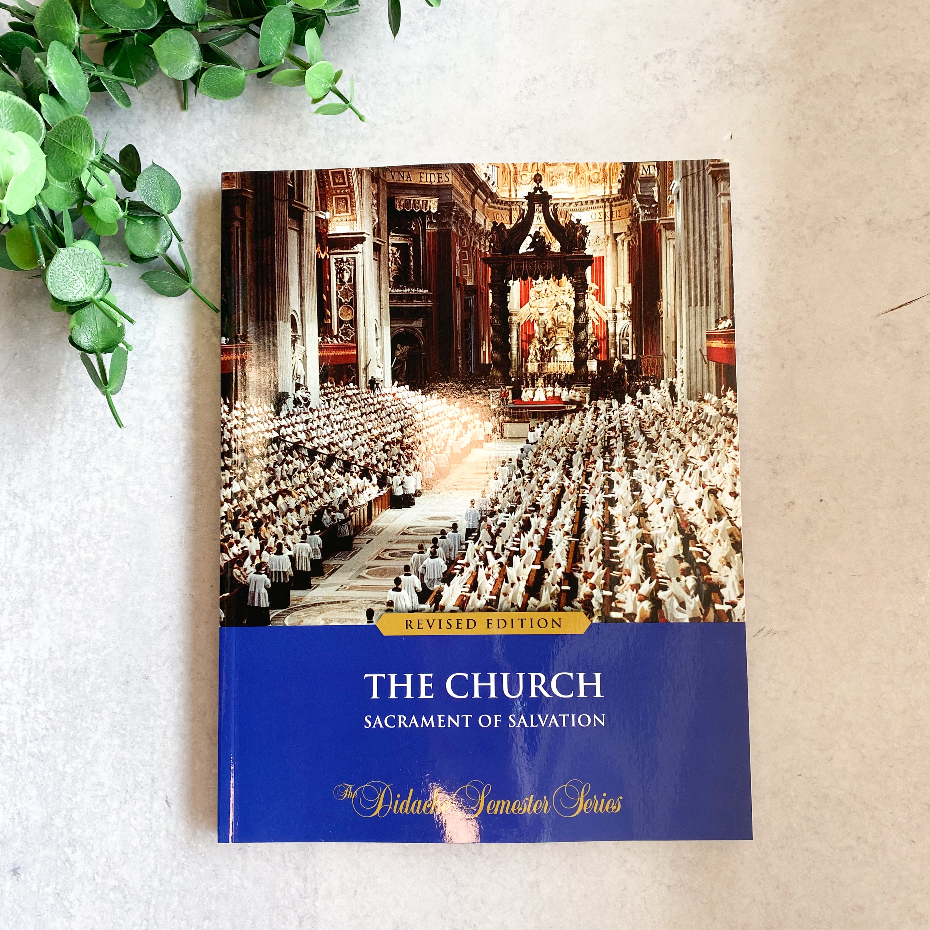 The Church: Sacrament of Salvation, Revised Semester Edition