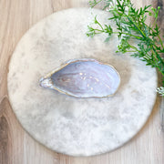 Stoneware Oyster Shell Shaped Dish, 4 Styles